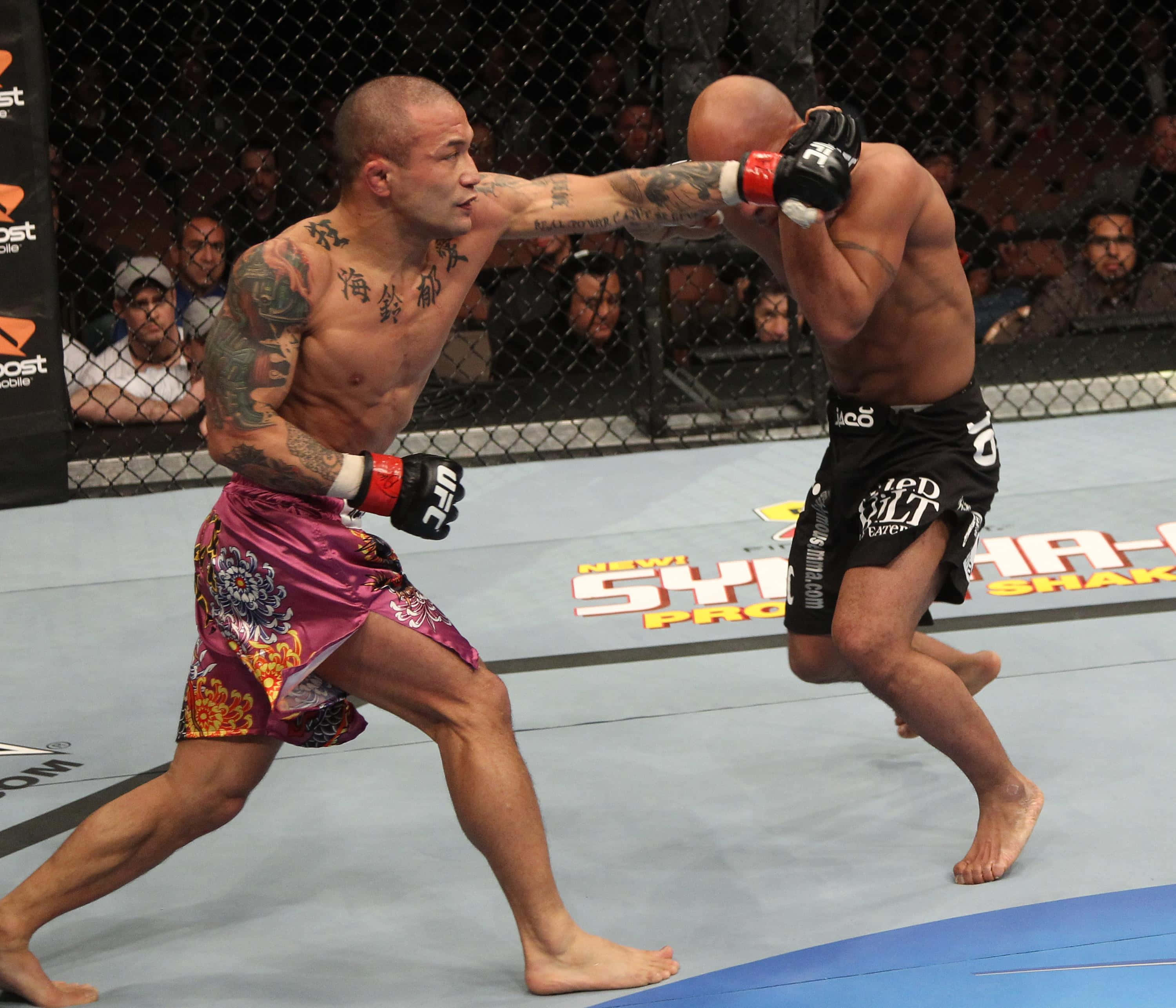 日本UFC選手山本信介UFC 126賽事揮拳瞬間 壁紙 — 兩名拳手在籠中交鋒，其中一人向對手頭部重擊一拳。