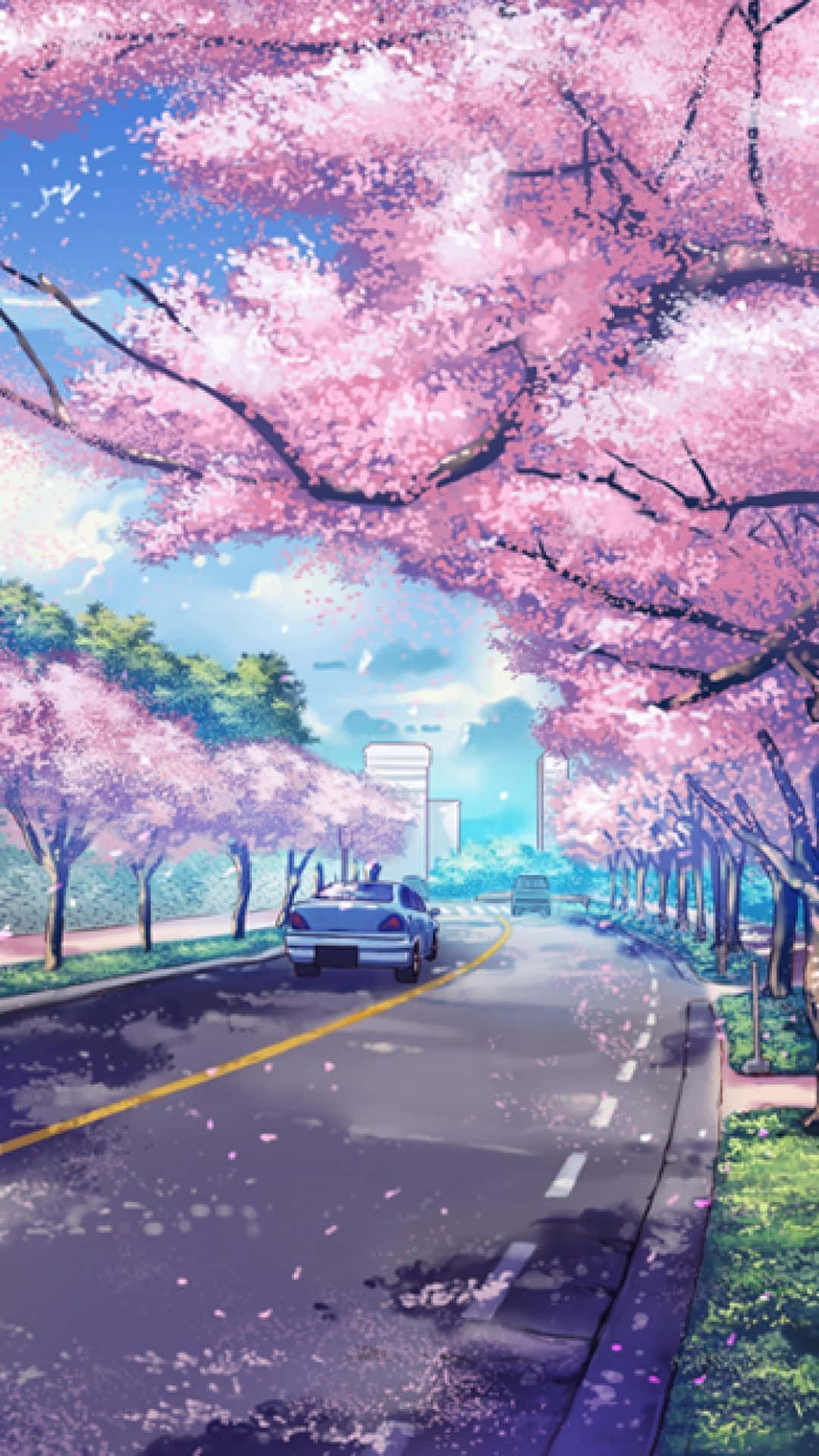 日本動畫風格櫻花街景 壁紙 — 一輛藍色汽車在晴朗的藍天下，沿著開滿粉紅色櫻花的道路行駛。
