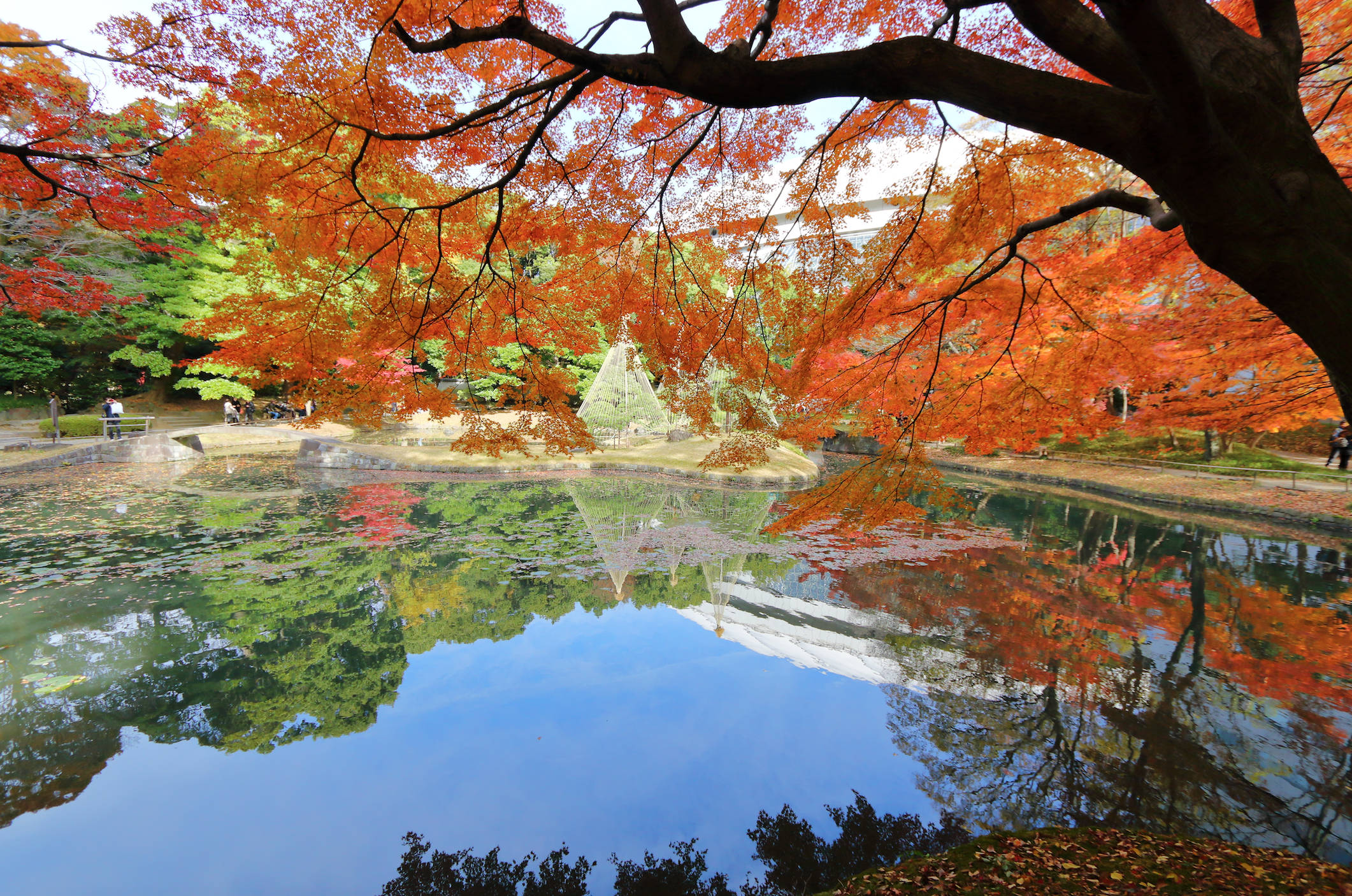 日本古式花園 壁紙 — 鮮豔的秋日楓葉以火紅和橙色環繞著寧靜的池塘，倒映著寶塔和天空。