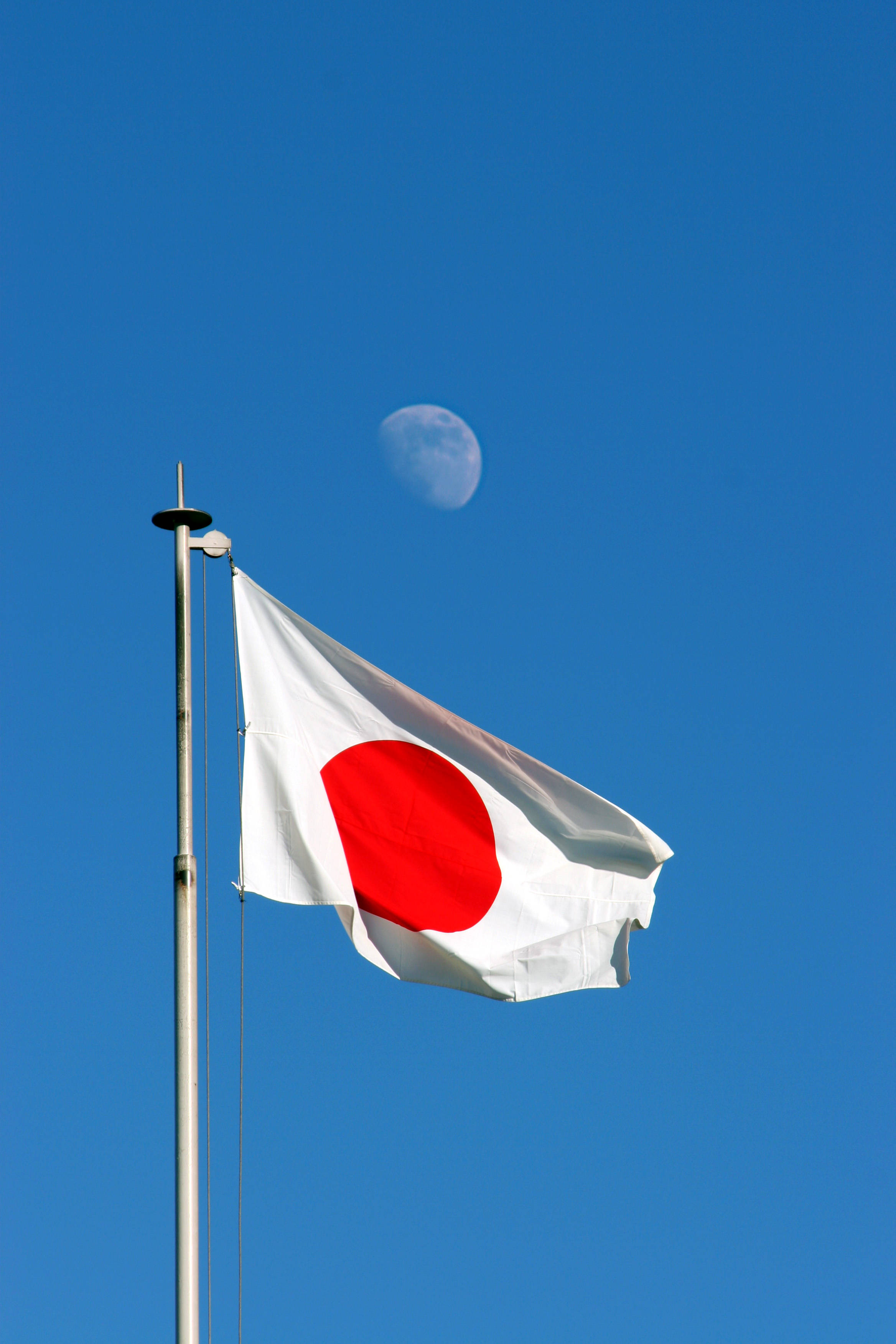 日本國旗與月光 壁紙 — 日本國旗在晴朗的藍天下自豪地飄揚，上方可見一彎新月。