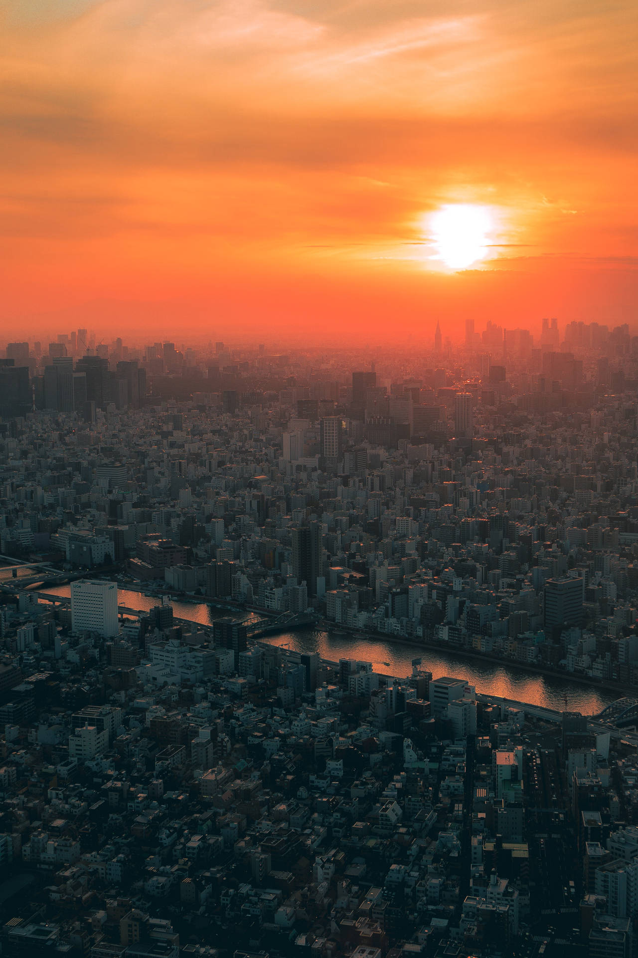 夕陽下的密集城市，河流蜿蜒穿過建築物。