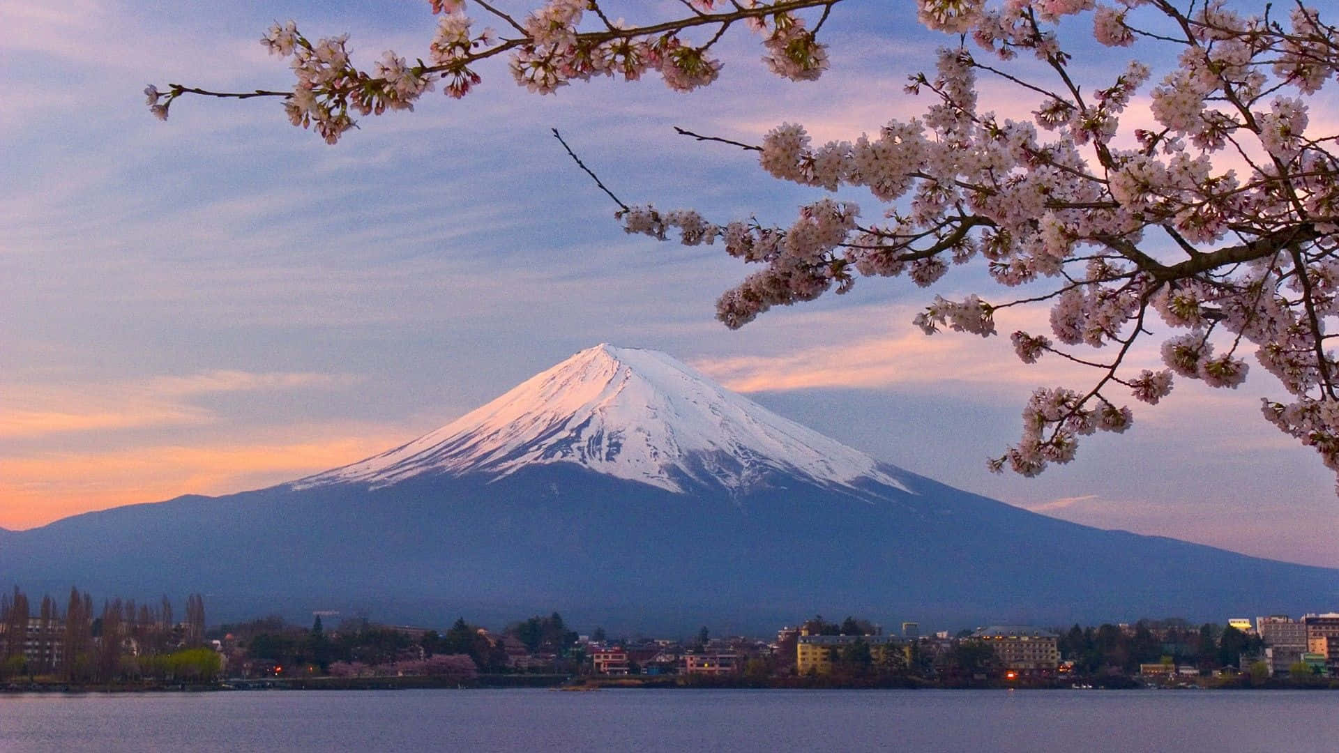日本壯麗富士山 壁紙 — 白雪覆蓋的富士山在日落時分雄偉地聳立在一個被粉嫩櫻花環繞的湖泊後面。
