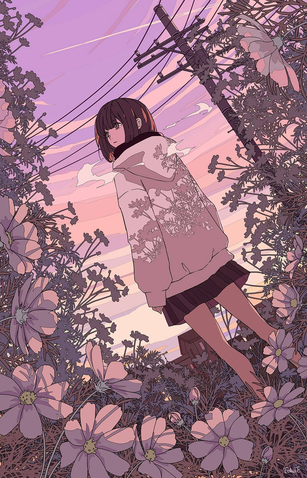 動漫女孩穿著花卉連帽衫，在暮色中站在紫色大波斯菊田裡。