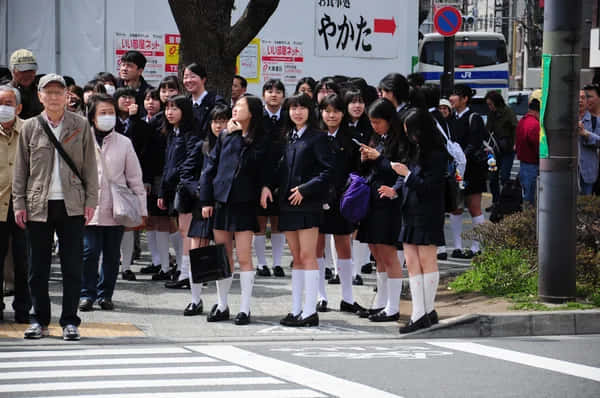 穿著校服的日本女學生在城市的行人過路處等候，旁邊有成年人和車輛。