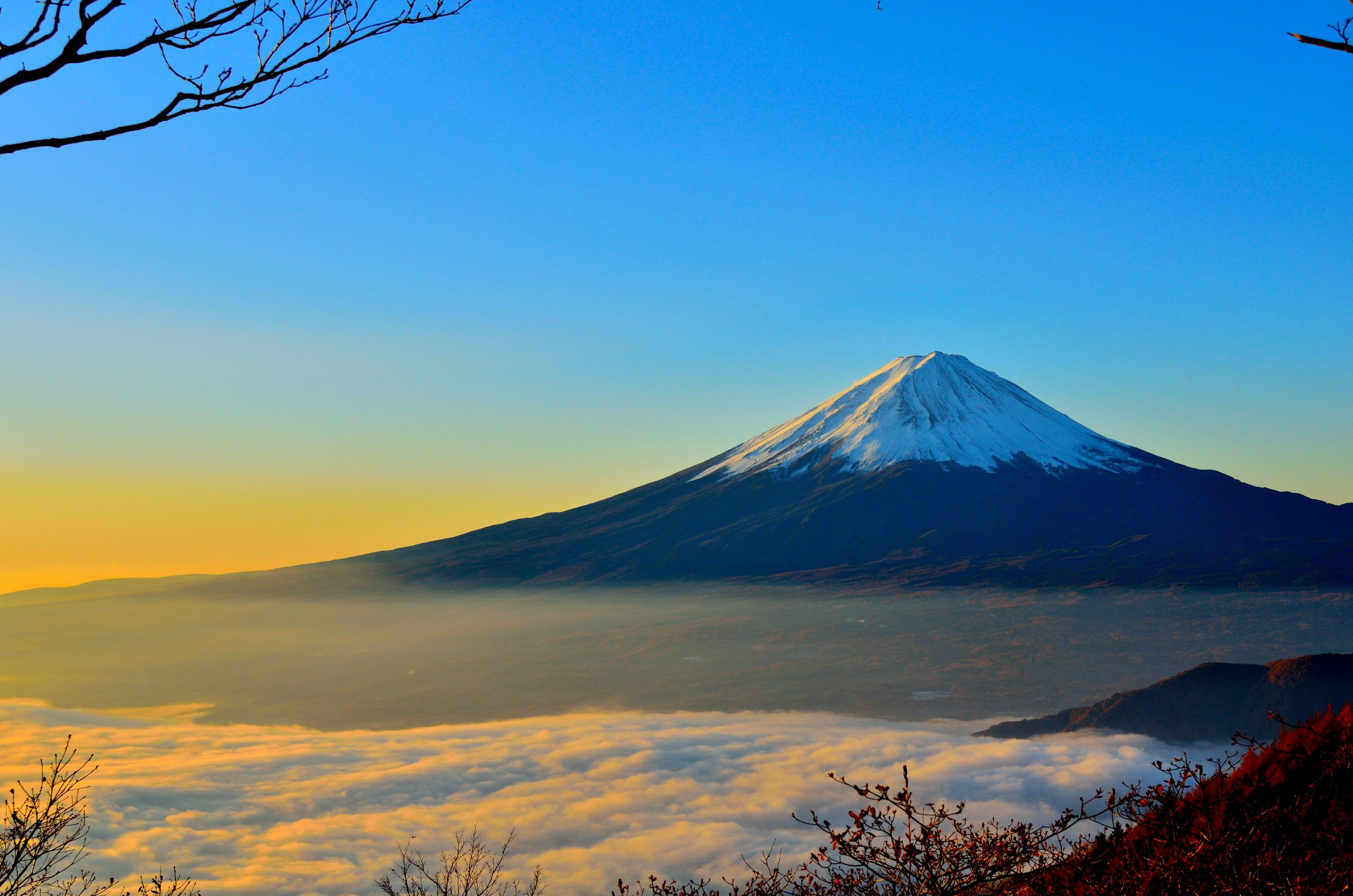 日本富士山桌面 4K 壁紙 — 白雪覆蓋的富士山在日出時莊嚴地聳立在金色雲海之上，光禿的樹枝框住了這片景色。