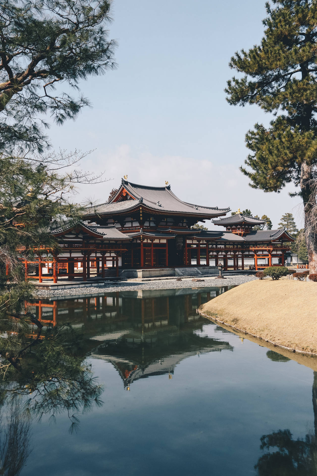 晴朗日子裡，一座日本寺廟倒映在松樹環繞的池塘中。