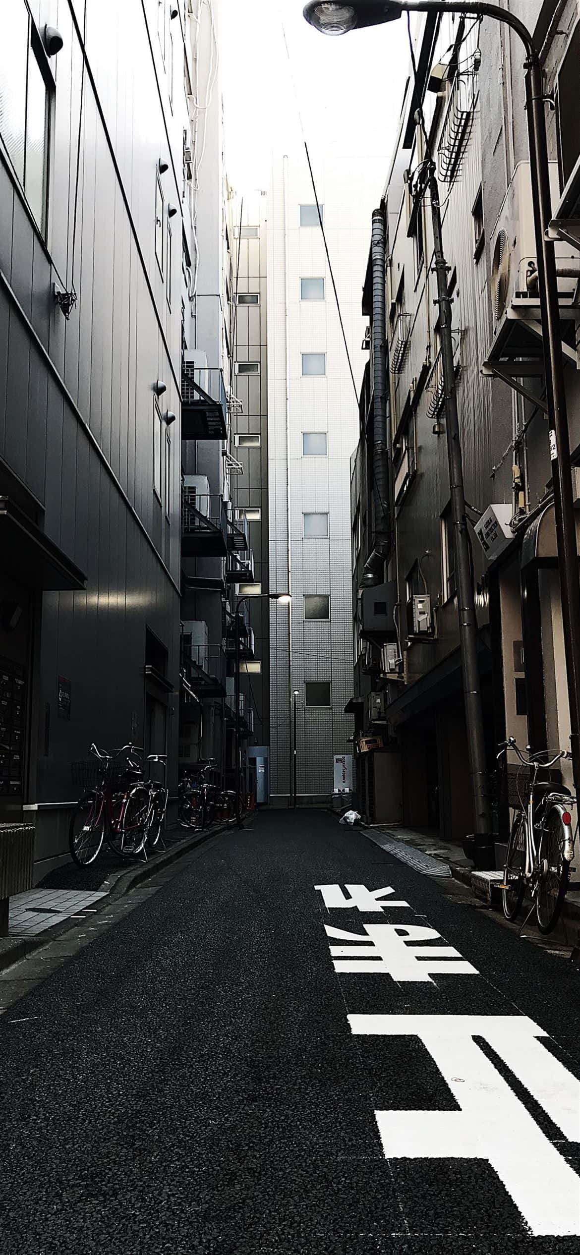 日本山間的美麗霧氣與黃花綠植 壁紙 — 一條狹窄的城市小巷，兩旁是高樓大廈，瀝青路上畫有白色日文字元。