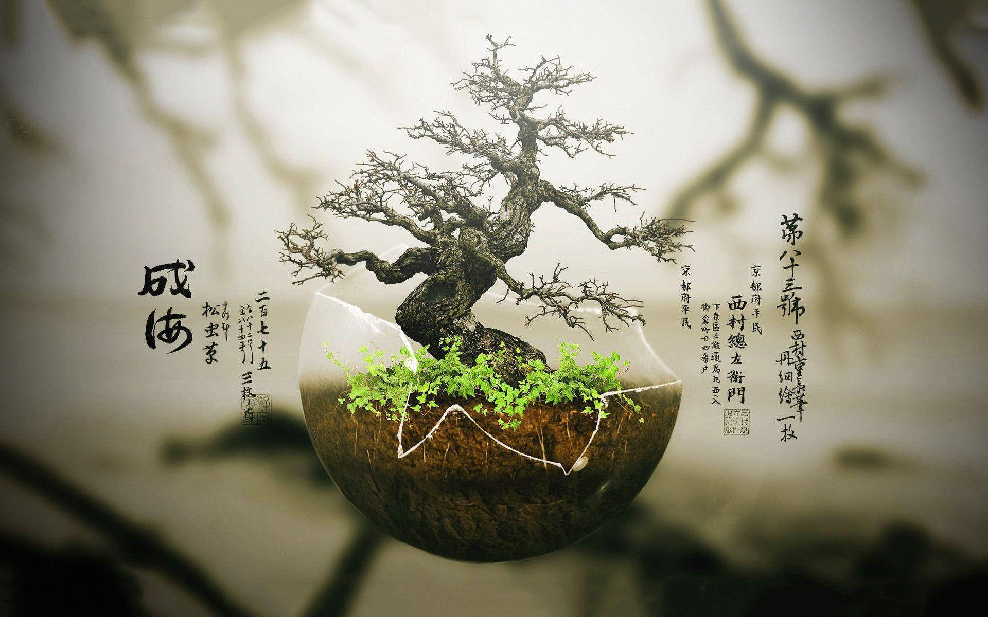 日本廣告用盆景植物海報攝影 壁紙 — 一棵多節的盆景樹從裂開的地球球體中發芽，背景是模糊的樹枝和日本書法。