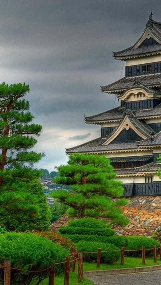 日本松本城 壁紙 — 一座宏偉的傳統日本城堡，擁有層疊的屋頂，矗立在戲劇性的灰色天空下，四周環繞著充滿活力的綠色松樹和修剪整齊的灌木。