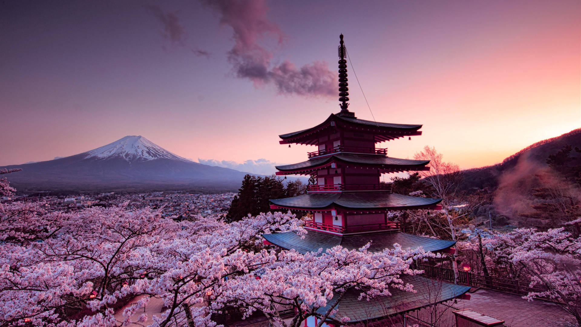 寶塔被櫻花環繞，背景是夕陽下的富士山。