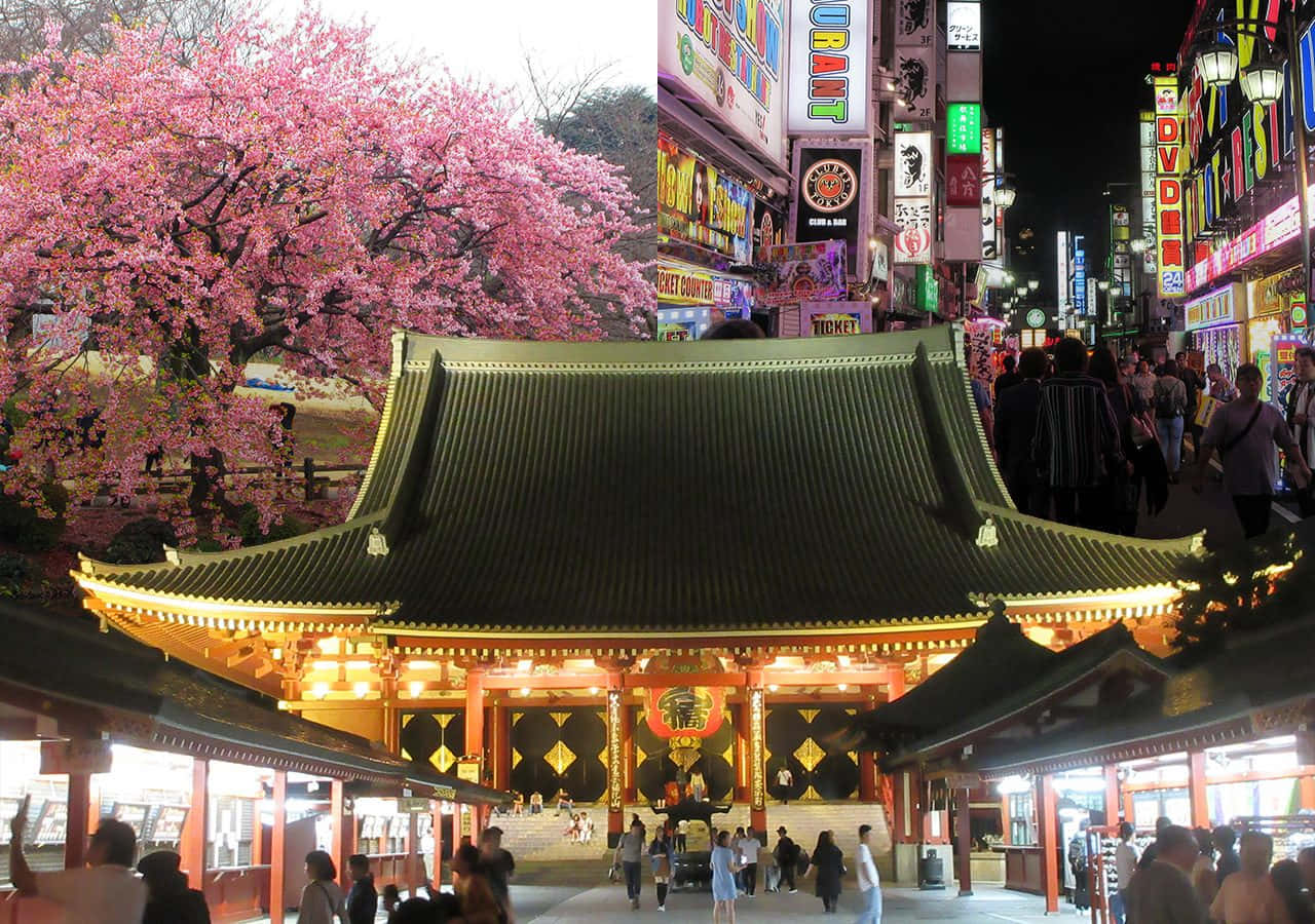 夜晚的日本神社，櫻花和霓虹燈牌。