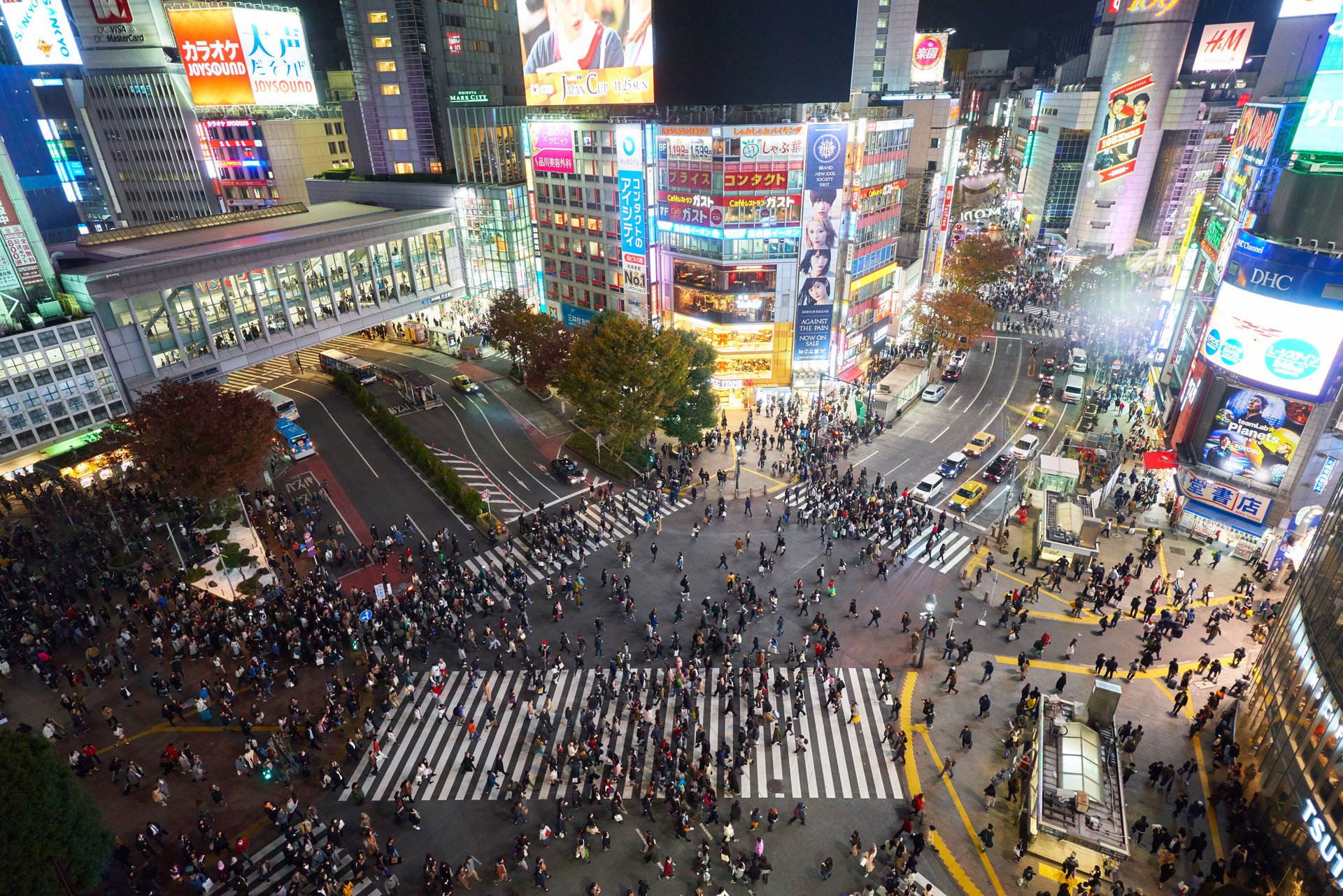 東京擁擠街道十字路口的夜間鳥瞰圖，帶有明亮的霓虹燈招牌。