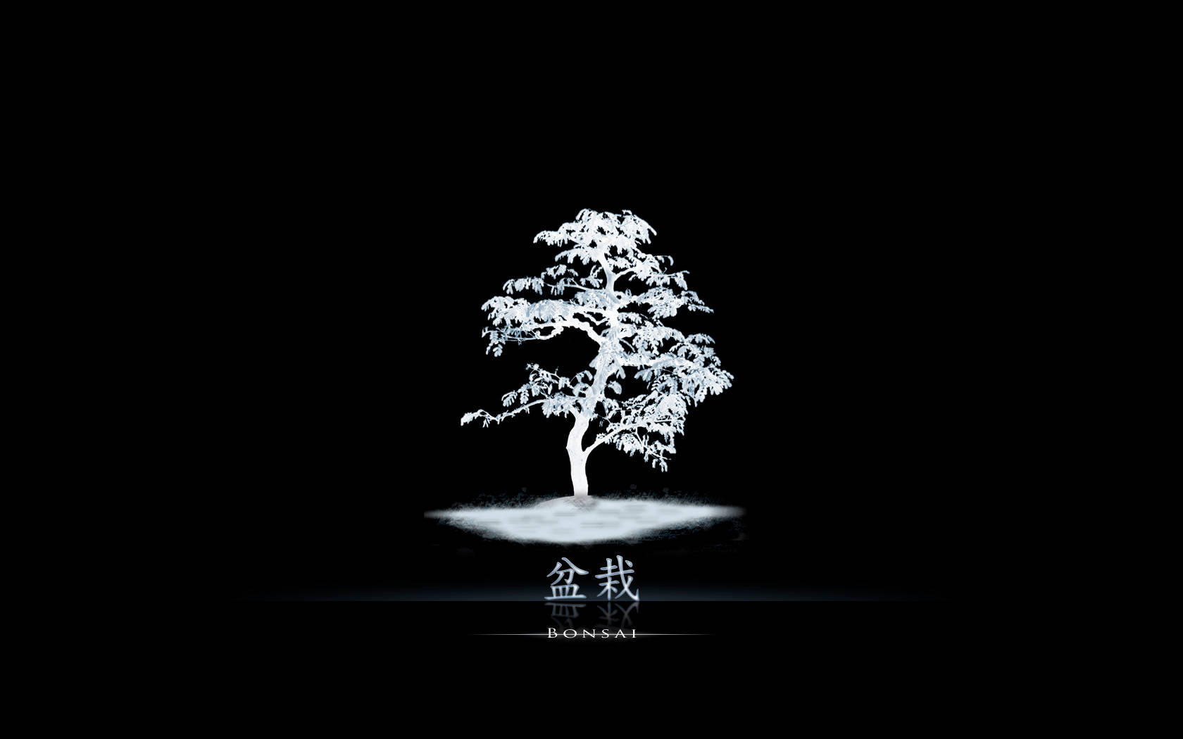 日本盆景樹數位藝術 壁紙 — 一棵純白色的盆景樹剪影在純黑色背景上發光，根部下方有微妙的霧氣。