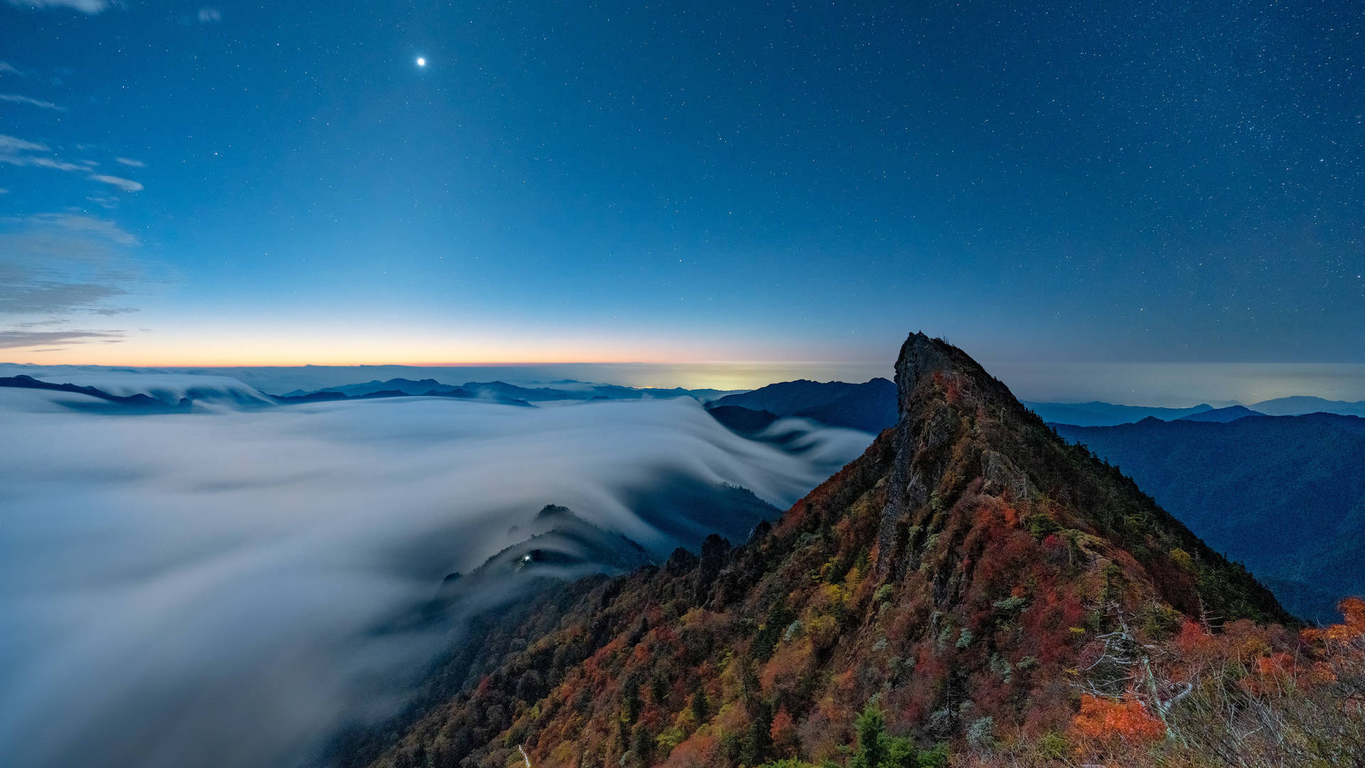 在繁星點點的夜空下，雲海之上有秋樹的山脊。