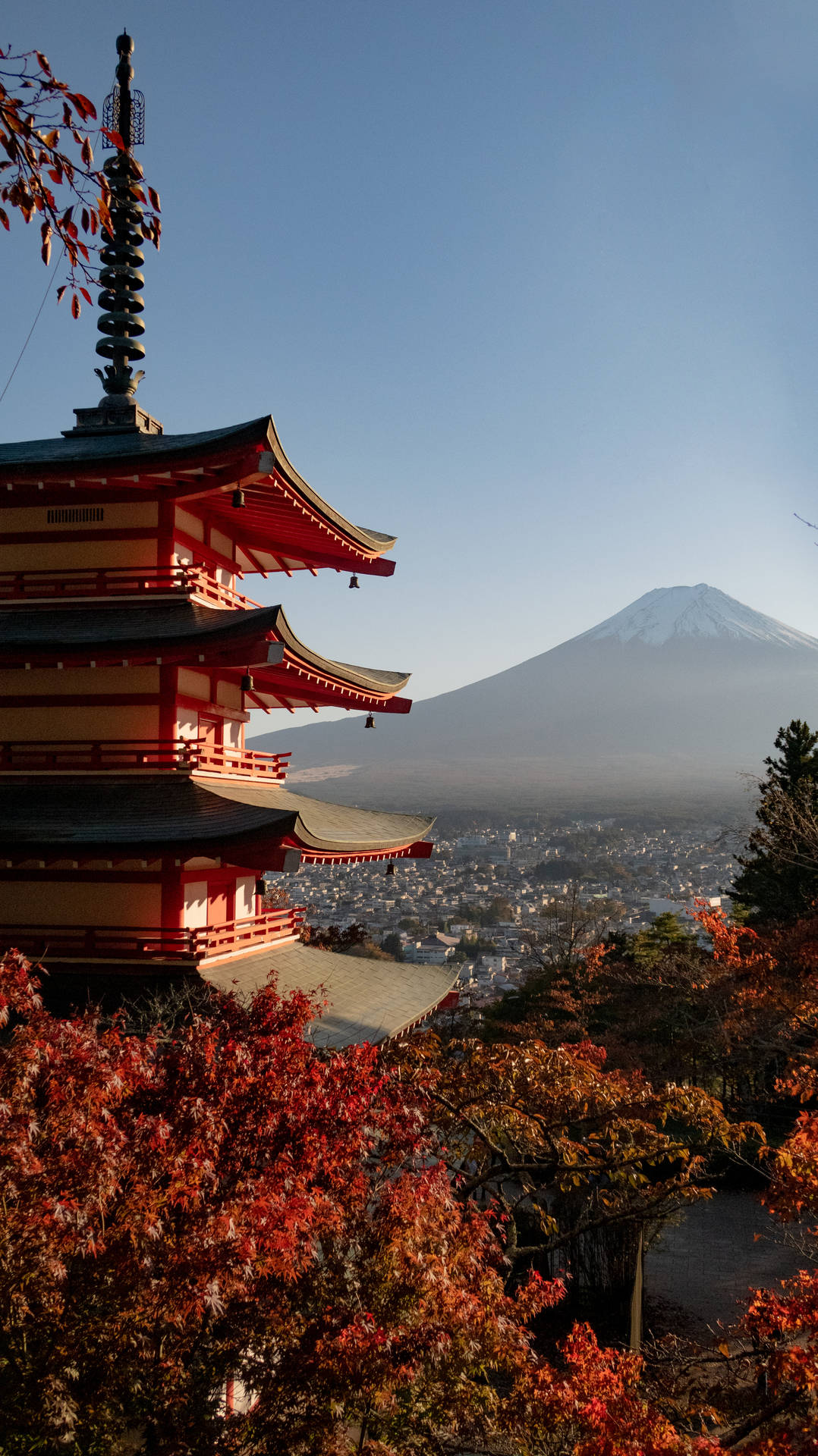 紅色寶塔、秋葉和遠方的富士山，日落時分。