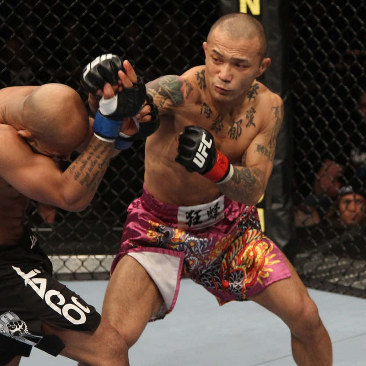日本職業UFC選手山本信介2011年對戰德米特里奧斯·約翰遜中景廣角照 壁紙 — 一位紋身的MMA拳手穿著鮮豔短褲，在UFC比賽中於籠式八角籠內向對手揮拳。
