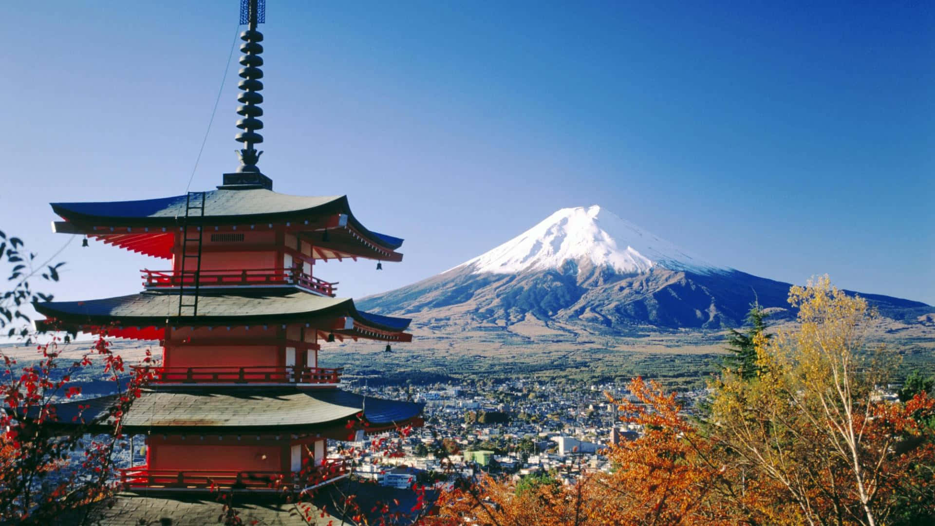 紅色塔與富士山及背景的秋樹