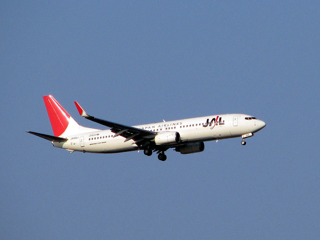 日本航空客機翱翔藍天 壁紙 — 一架日本航空客機，紅色尾翼白色機身，起落架放下，在清澈的藍天中飛行。