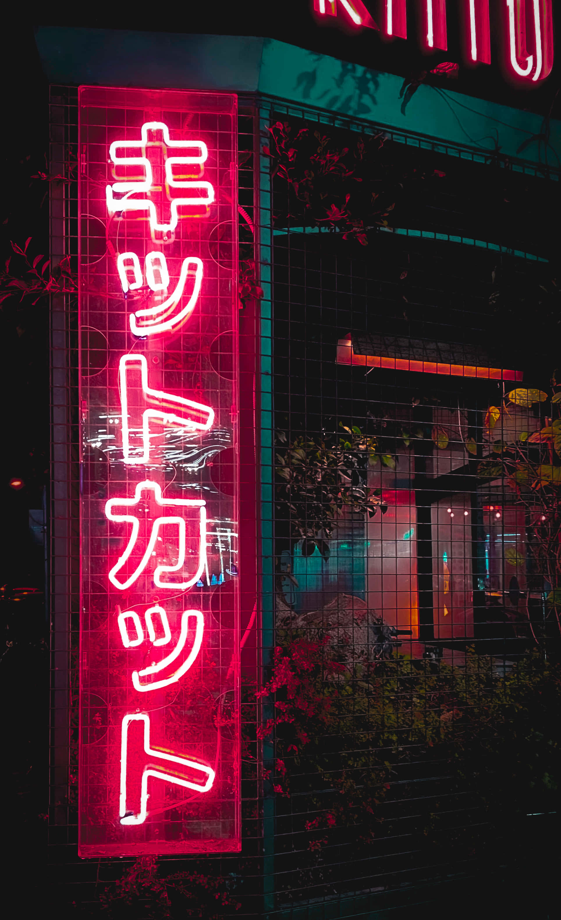 日本霓虹燈——展現國家活力夜生活 壁紙 — 鮮豔的紅色霓虹燈招牌帶有日文字，在黑暗的城市夜晚背景下發光，周圍環繞著樹葉和鐵絲網圍欄。