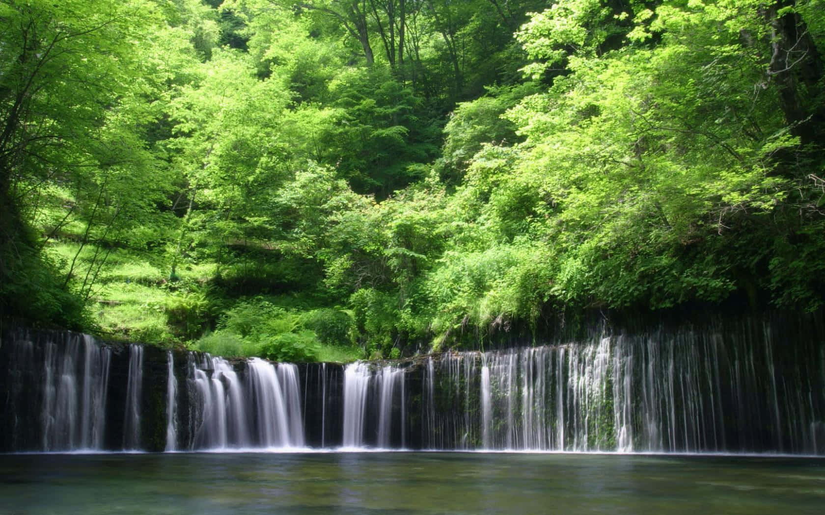 日本靜岡縣白糸瀑布桌面壁紙 壁紙 — 一道寧靜的水流從暗色岩石邊緣傾瀉而下，流入被茂密翠綠森林環繞的平靜水潭。