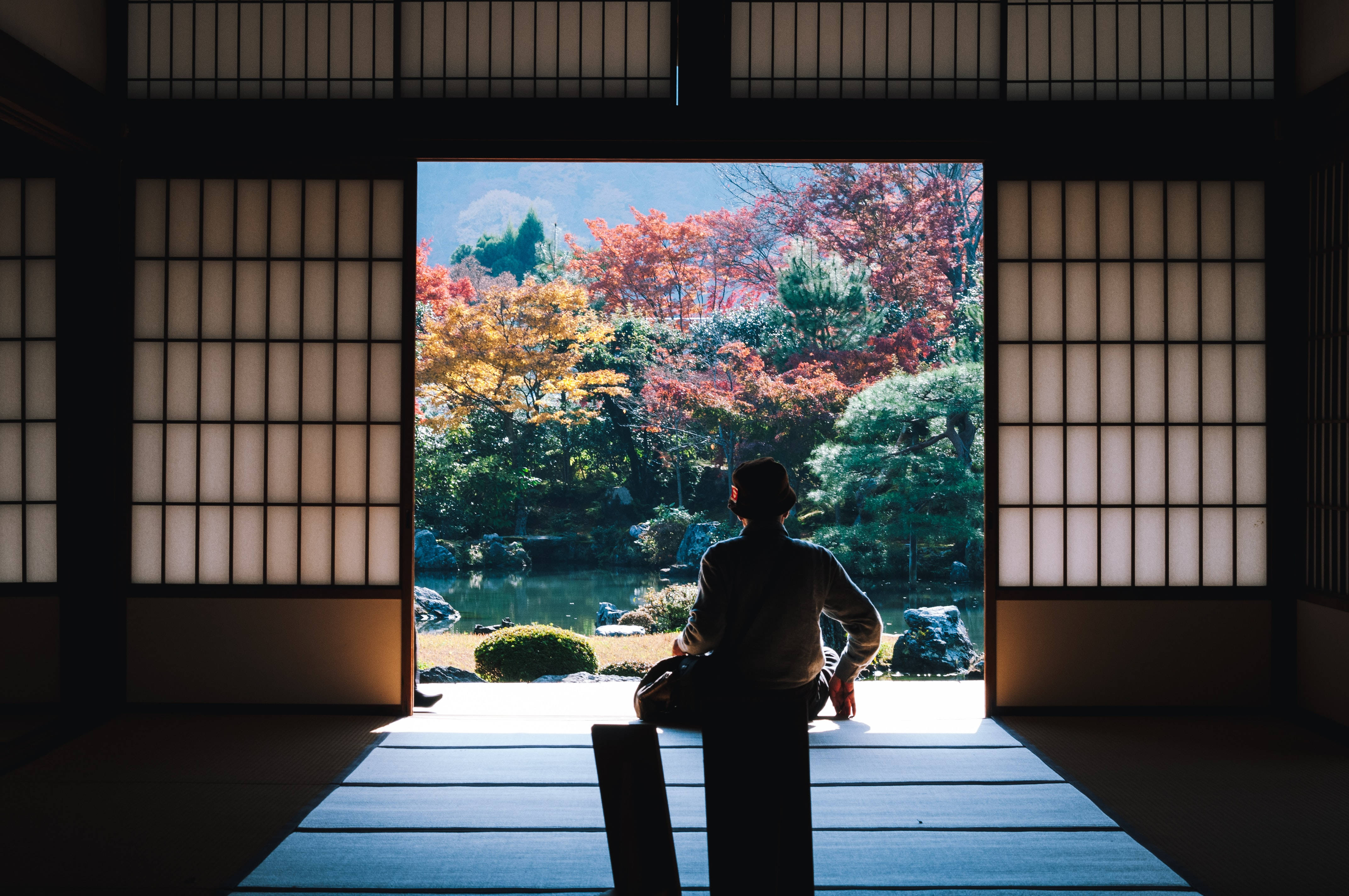 日本高清傳統日式房間剪影 壁紙 — 一個人以剪影形式坐在傳統日式房間的榻榻米上，凝視著外面色彩繽紛的樹木和池塘所構成的生機勃勃的秋日花園。