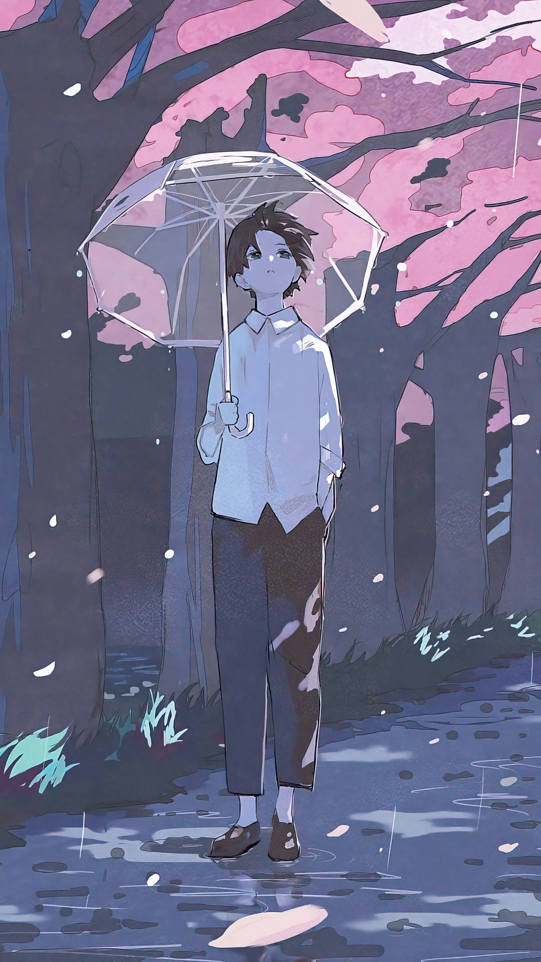 一個年輕人在黃昏時分的雨櫻花林中，站在透明雨傘下。