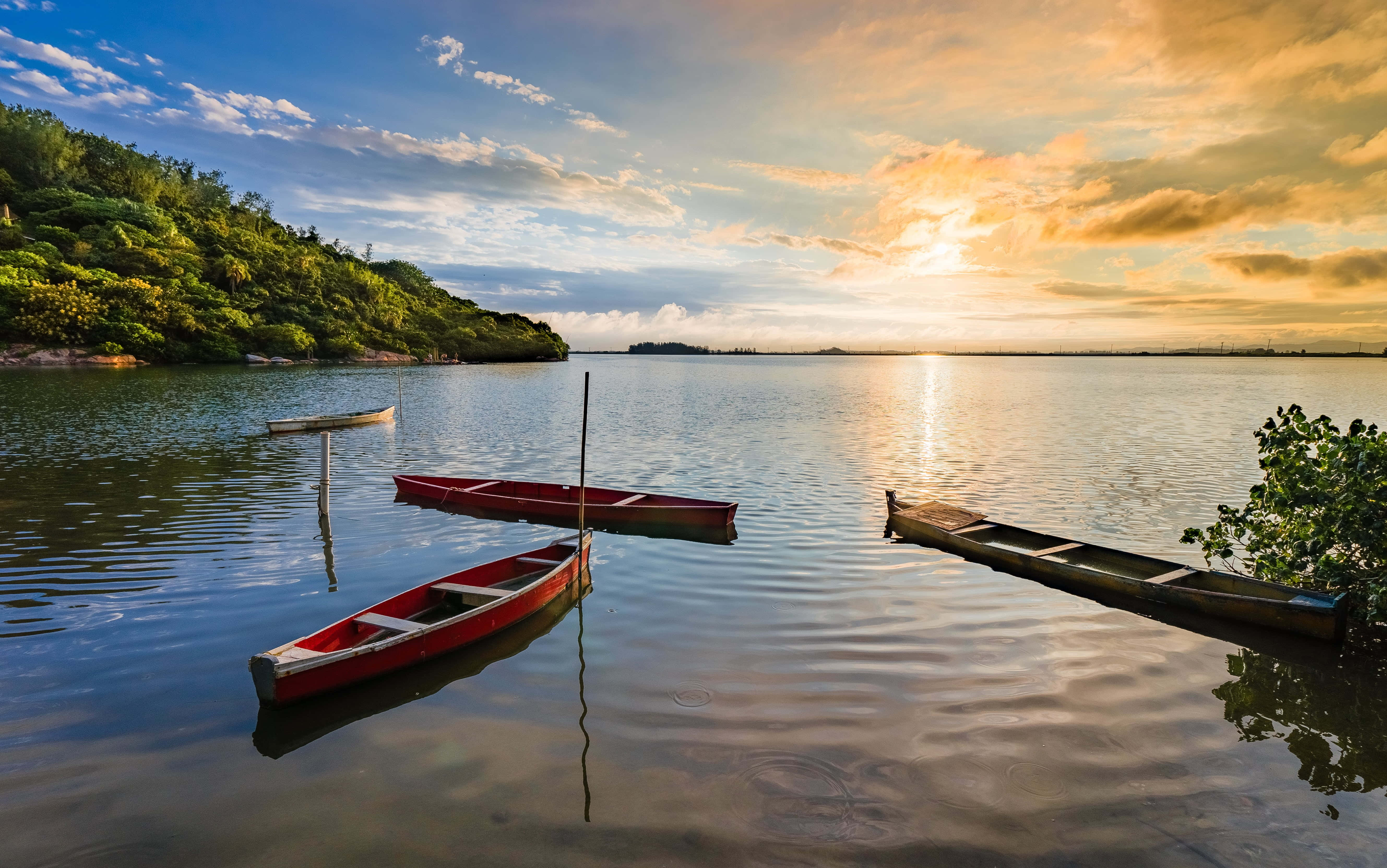 Boating 桌布 壁紙 — 日落將金色光芒灑在平靜的水面上，紅色獨木舟漂浮在鬱鬱蔥蔥的綠色海岸附近。