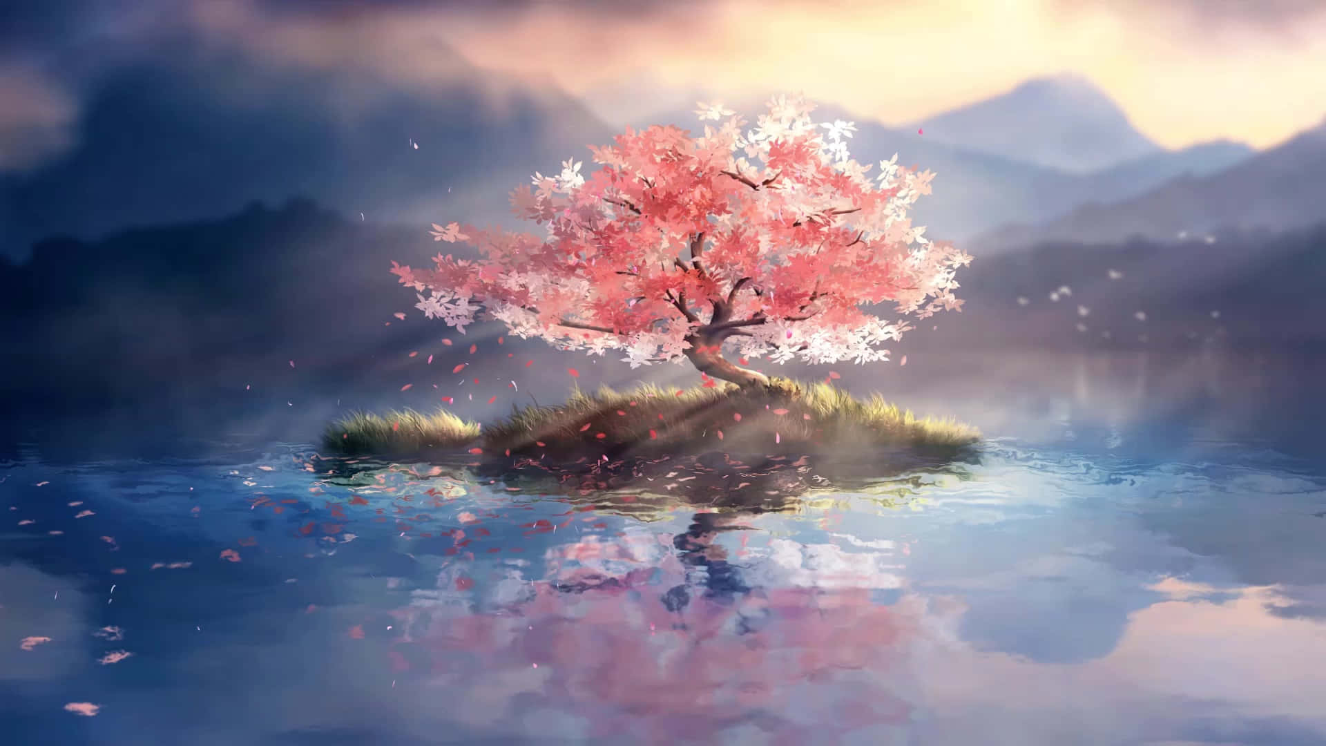 Cherry Blossom Tree 桌布 壁紙 — 日落時分，在薄霧籠罩的小島上，平靜的水面映襯著遠山，一棵孤獨的櫻花樹盛開著粉紅色的花朵。