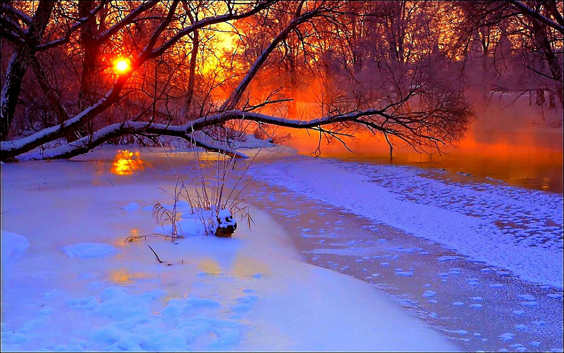 Winter Sunset 桌布 壁紙 — 日落時分冰封的河流，積雪覆蓋的樹木將火紅的橙色光芒反射在冰藍色的水面上。