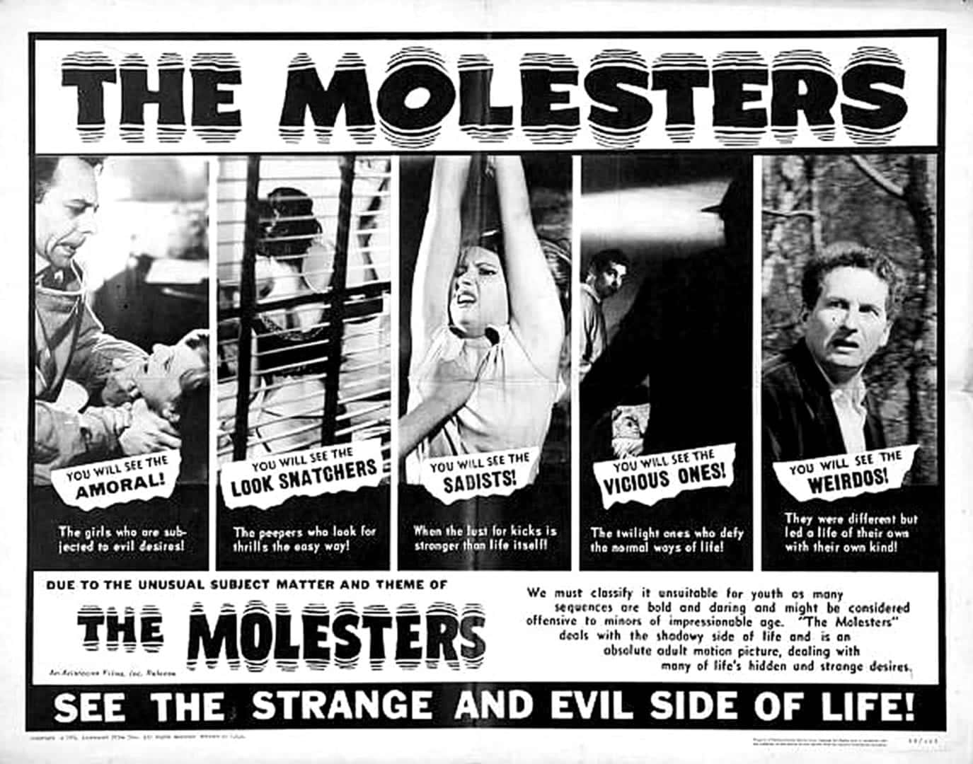 《The Molesters》的復古電影海報，警告不道德、虐待狂和怪異的內容。