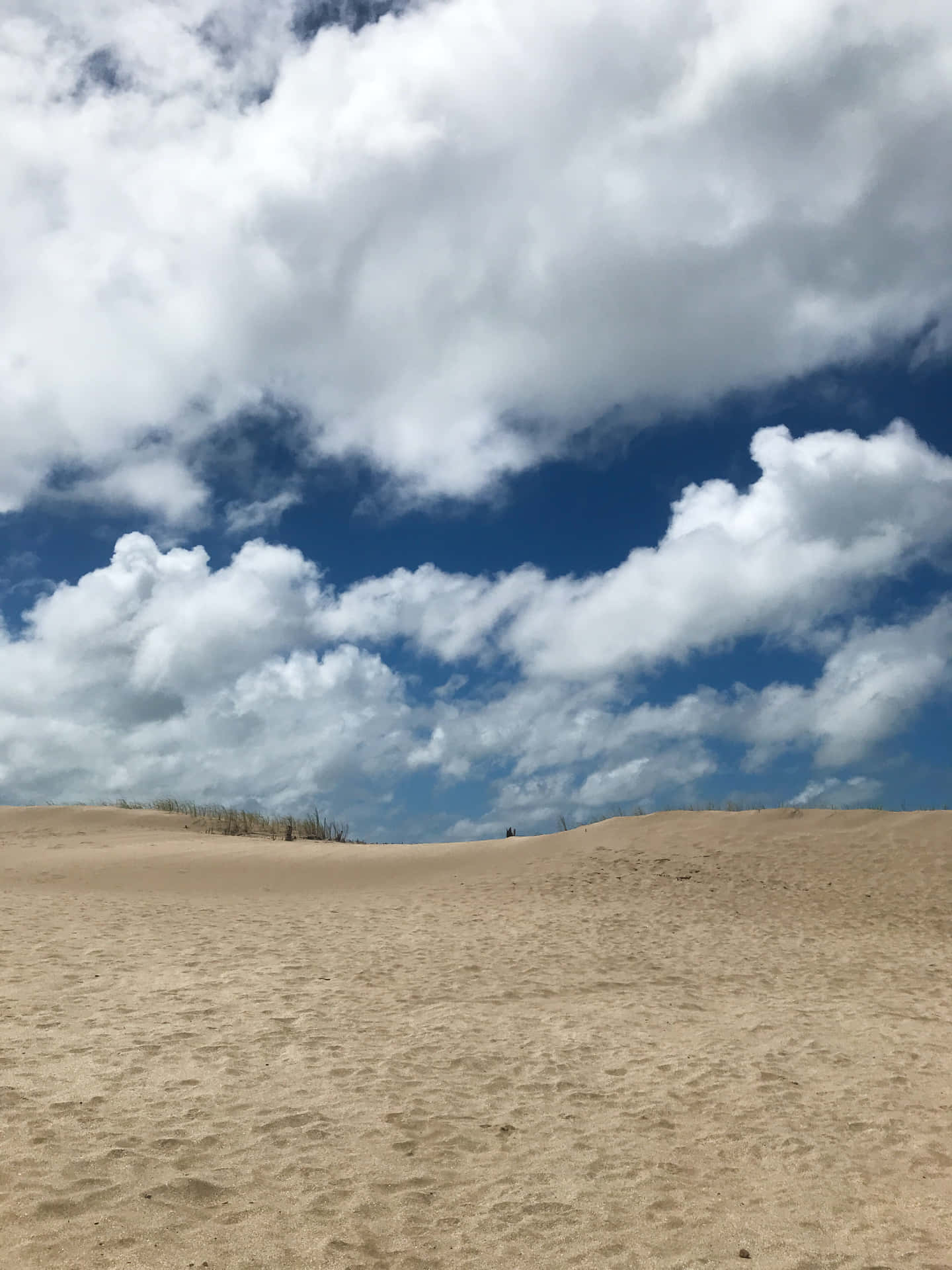 在明亮的藍天和零星雲朵下沙丘的廣闊視野。