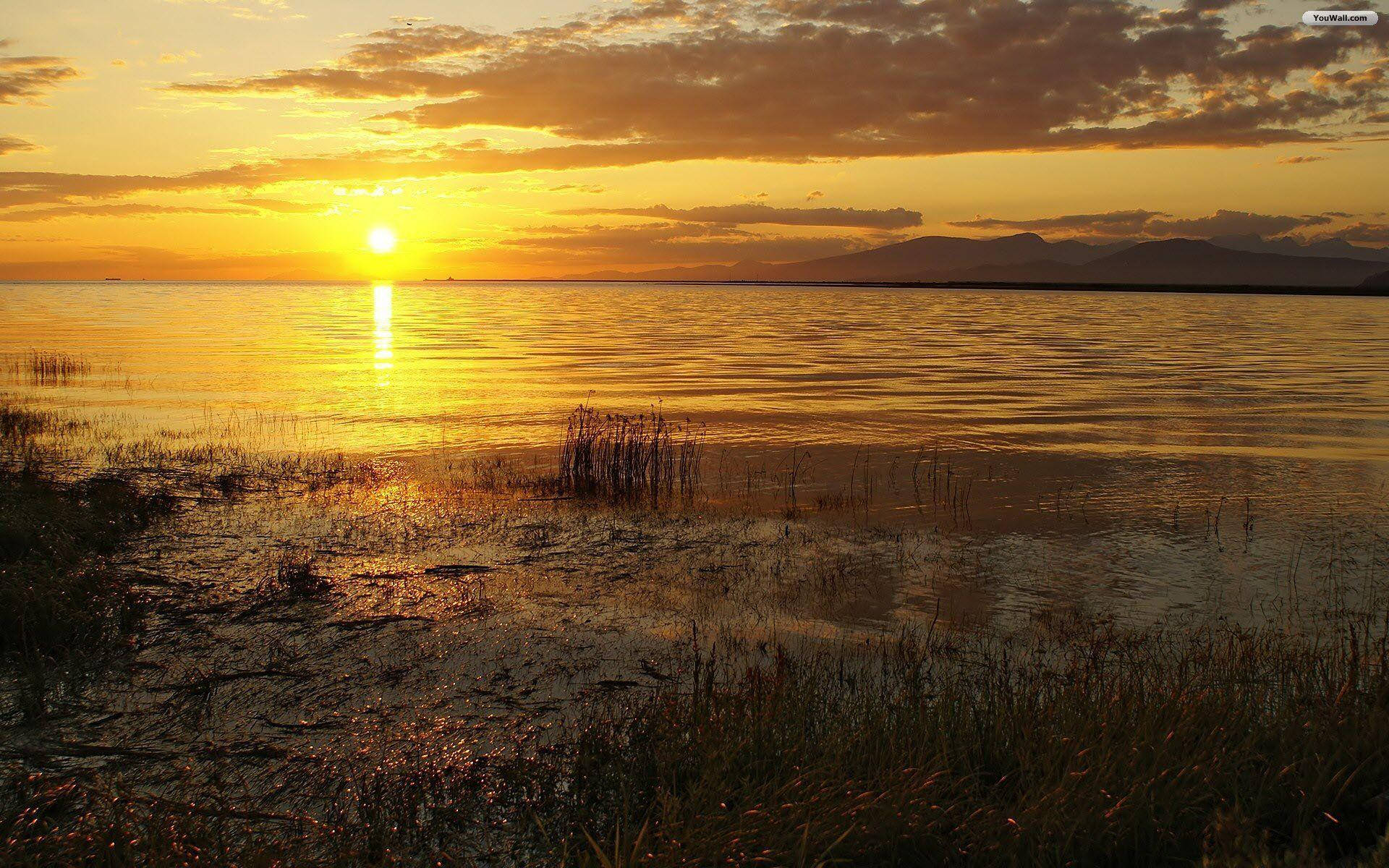 湖上夕陽，有山和蘆葦