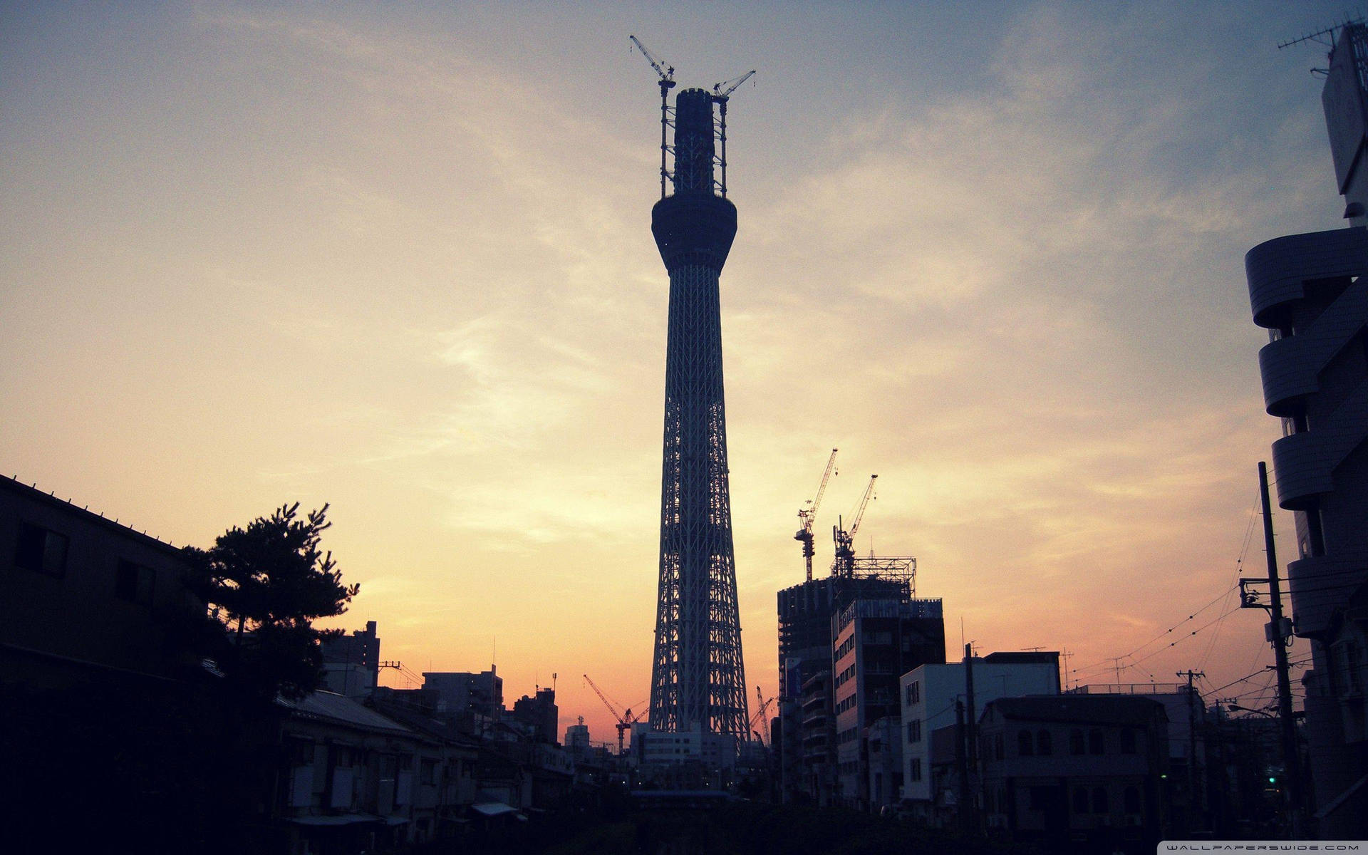 以日落城市景觀為背景的建造中剪影摩天大樓。