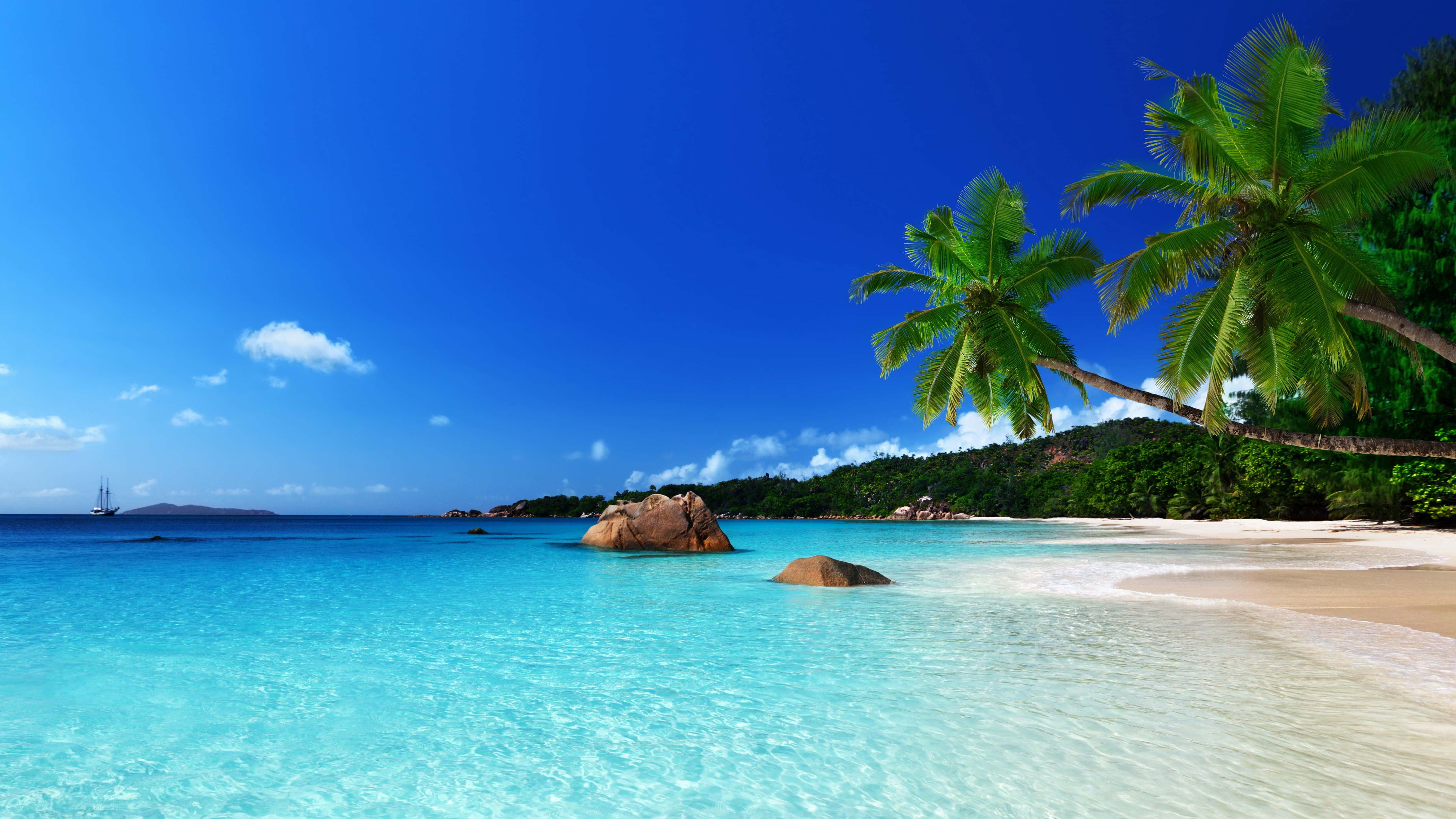 日落時分海灘的如畫美景 壁紙 — 清澈碧綠的海水拍打著白色沙灘，沙灘兩旁是茂密的綠色棕櫚樹，上方是湛藍的天空。