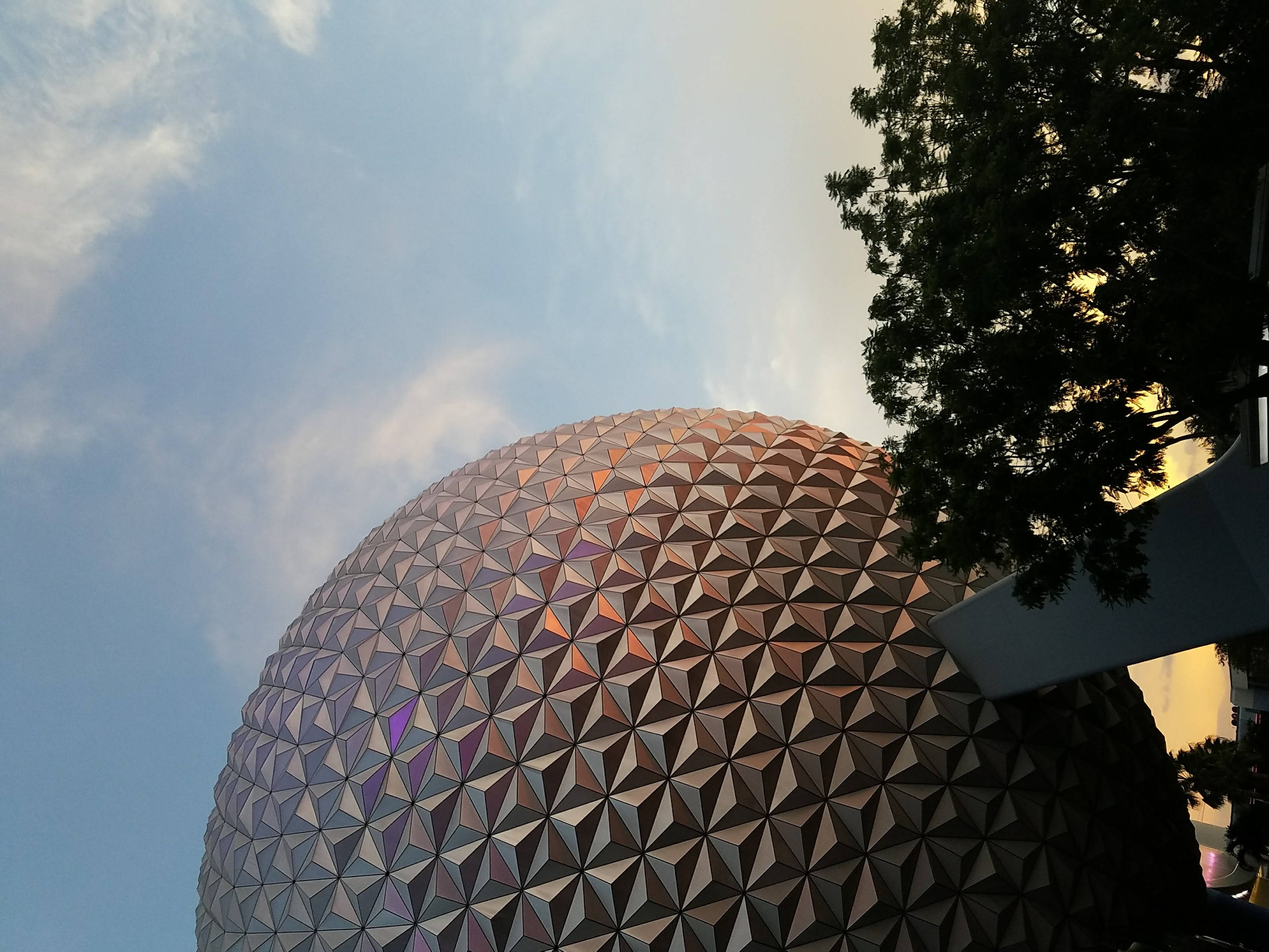 日落時分的 Epcot 球體 壁紙 — 低角度觀看艾波卡特標誌性的測地線球體，沐浴在金黃色的日落光線中，右側有一棵樹作為框架。