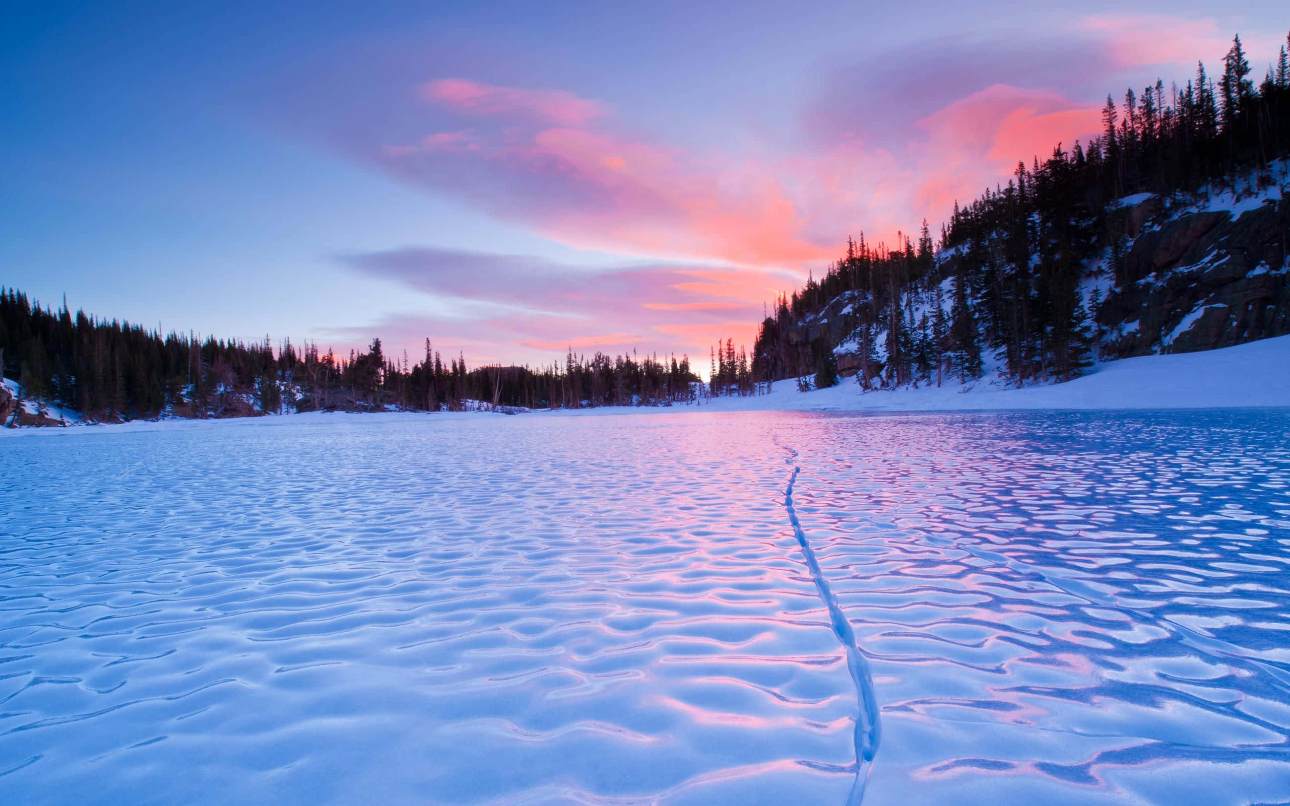 Frozen Lake 桌布 壁紙 — 日落時分的冰凍湖泊，粉紅色和藍色的天空倒映在紋理冰面和積雪覆蓋的松樹上。