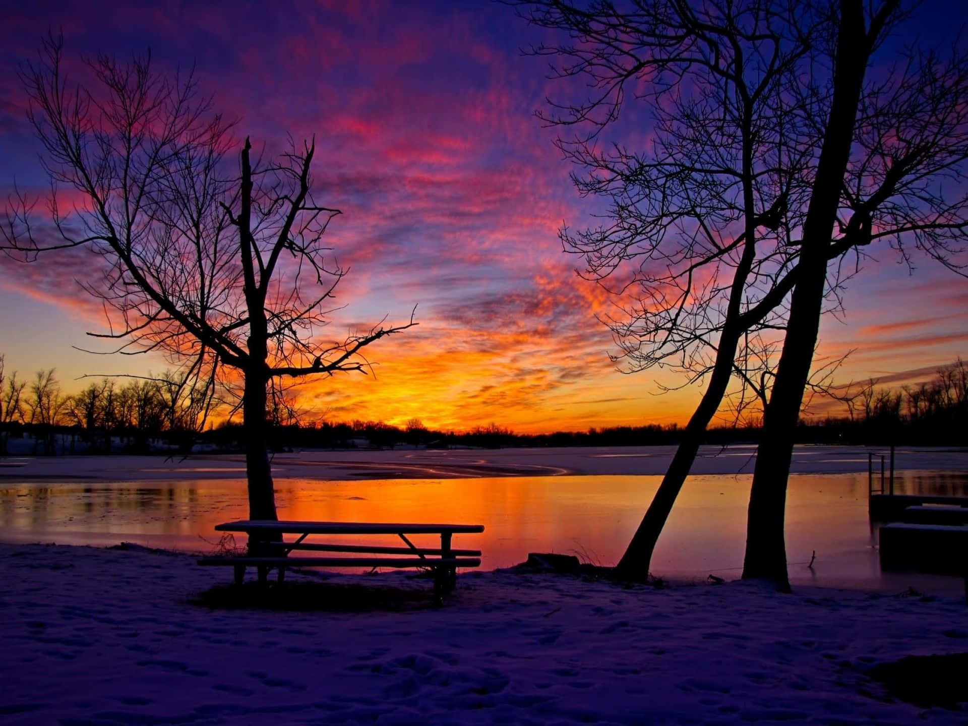 Winter Sunset 桌布 壁紙 — 日落時分的冰凍湖面，光禿禿的樹木和野餐桌在火紅的橙色和紫色天空下形成剪影。