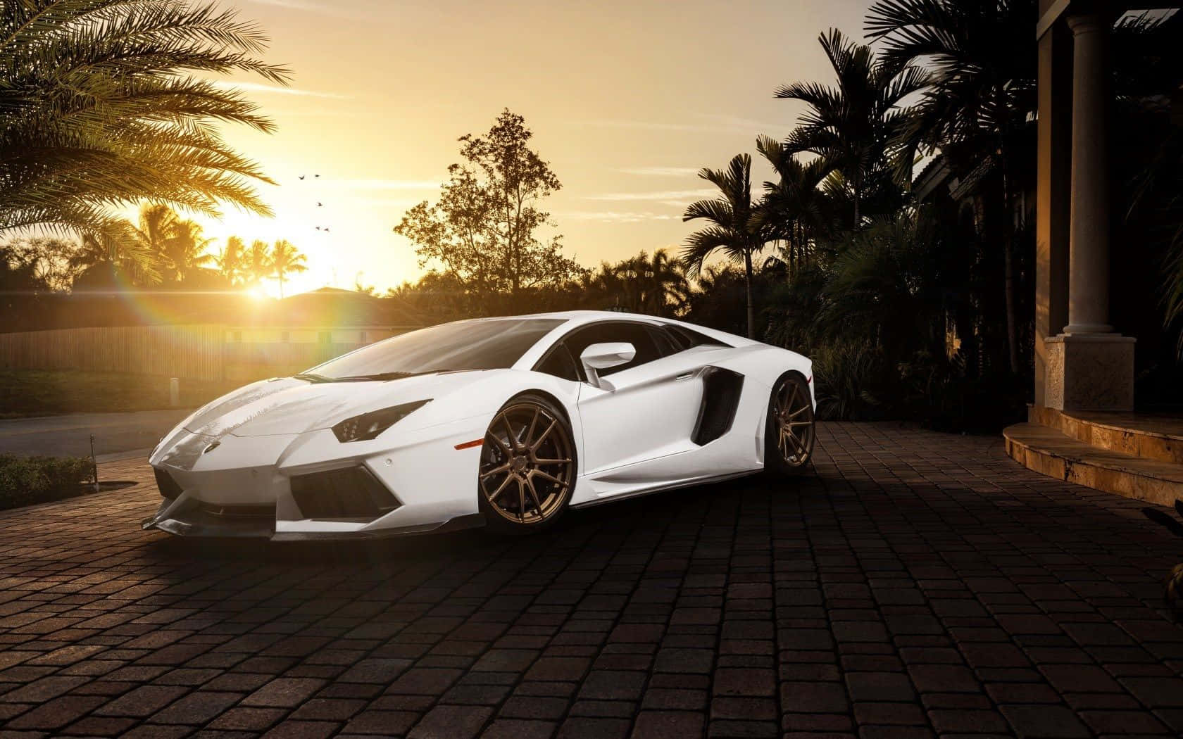 白色林寶堅尼Aventador停泊在磚砌車道上，夕陽下靠近棕櫚樹和豪宅。