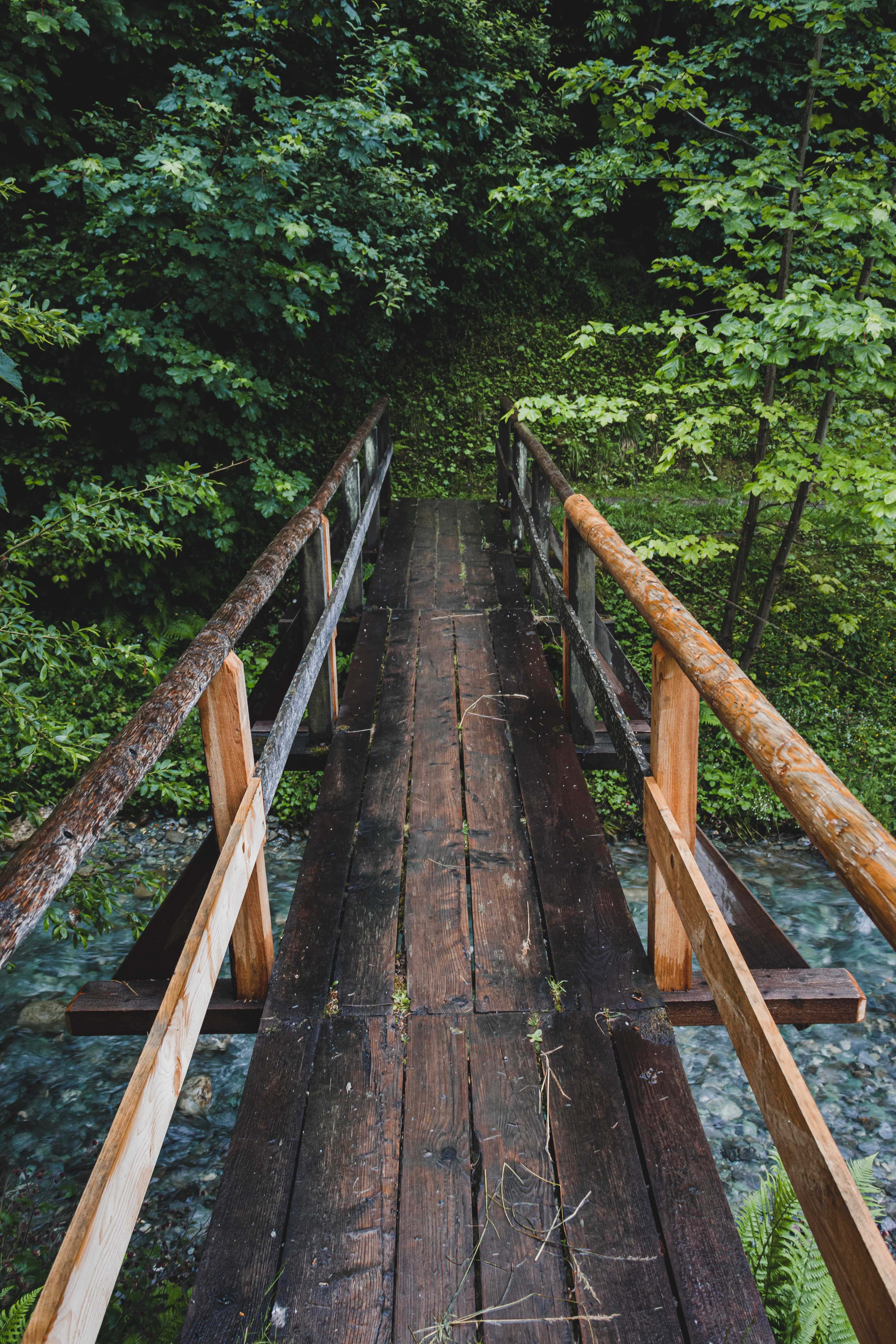 日落時分的迷人山景 壁紙 — 一條飽經風霜的木橋，長滿苔蘚的欄杆橫跨清澈的小溪，穿過茂密的綠色森林。