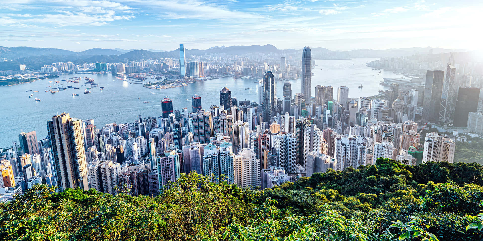 日落時分的香港天際線鳥瞰圖 壁紙 — 香港密集嘅天際線同港口喺明亮日光下嘅全景，前景有茂密嘅綠色植物。