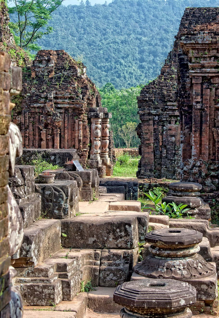 日落時分美山聖地的壯麗風景 壁紙 — 古老的石廟遺跡，長滿青苔的階梯和雕刻的柱子，坐落在鬱鬱蔥蔥的綠色山谷中。