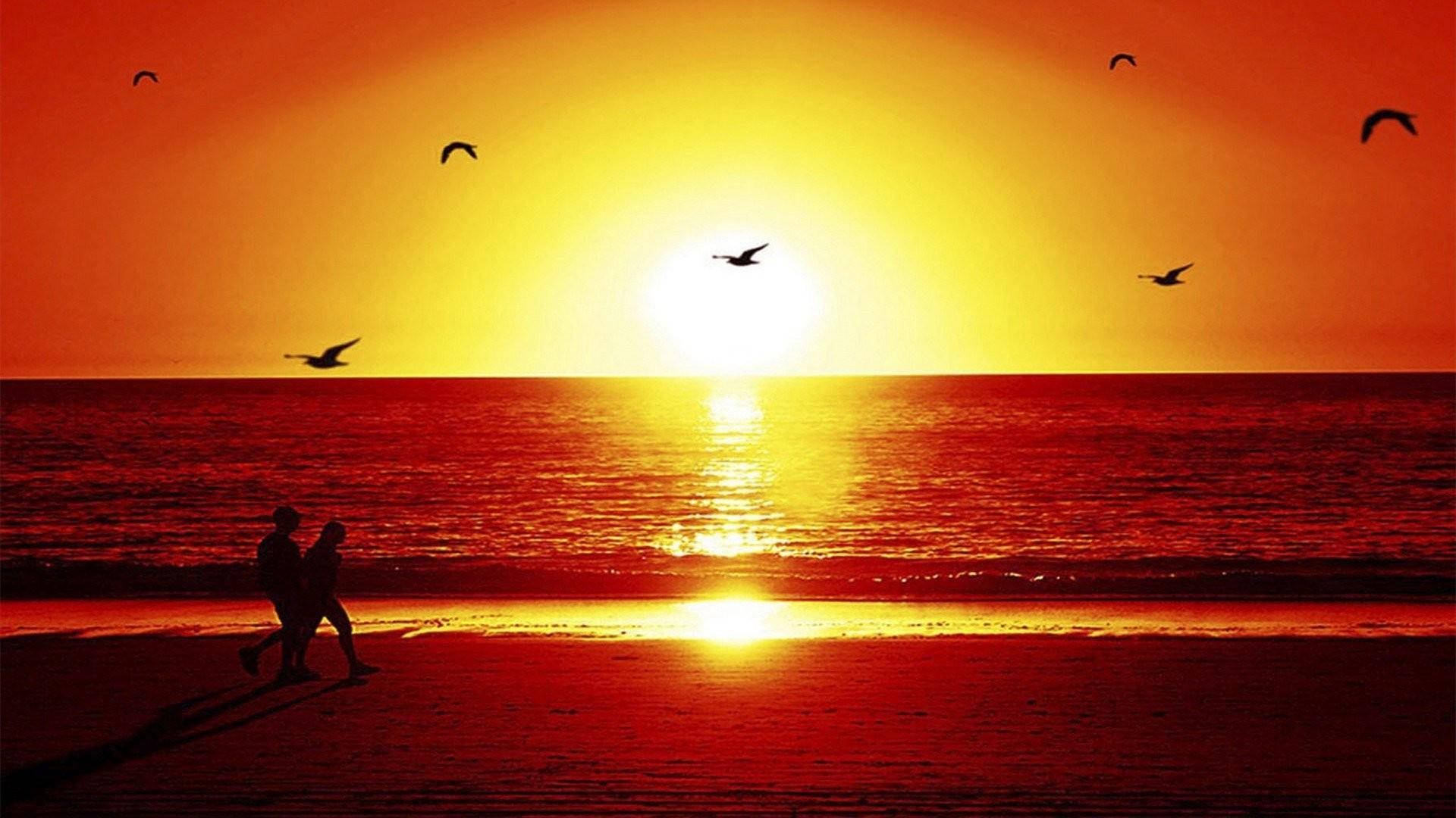 日落時海灘上的情侶 壁紙 — 一對情侶的剪影沿著海灘漫步，熾熱的夕陽將天空和海洋染成鮮豔的紅色和橙色，鳥兒在頭頂飛翔。