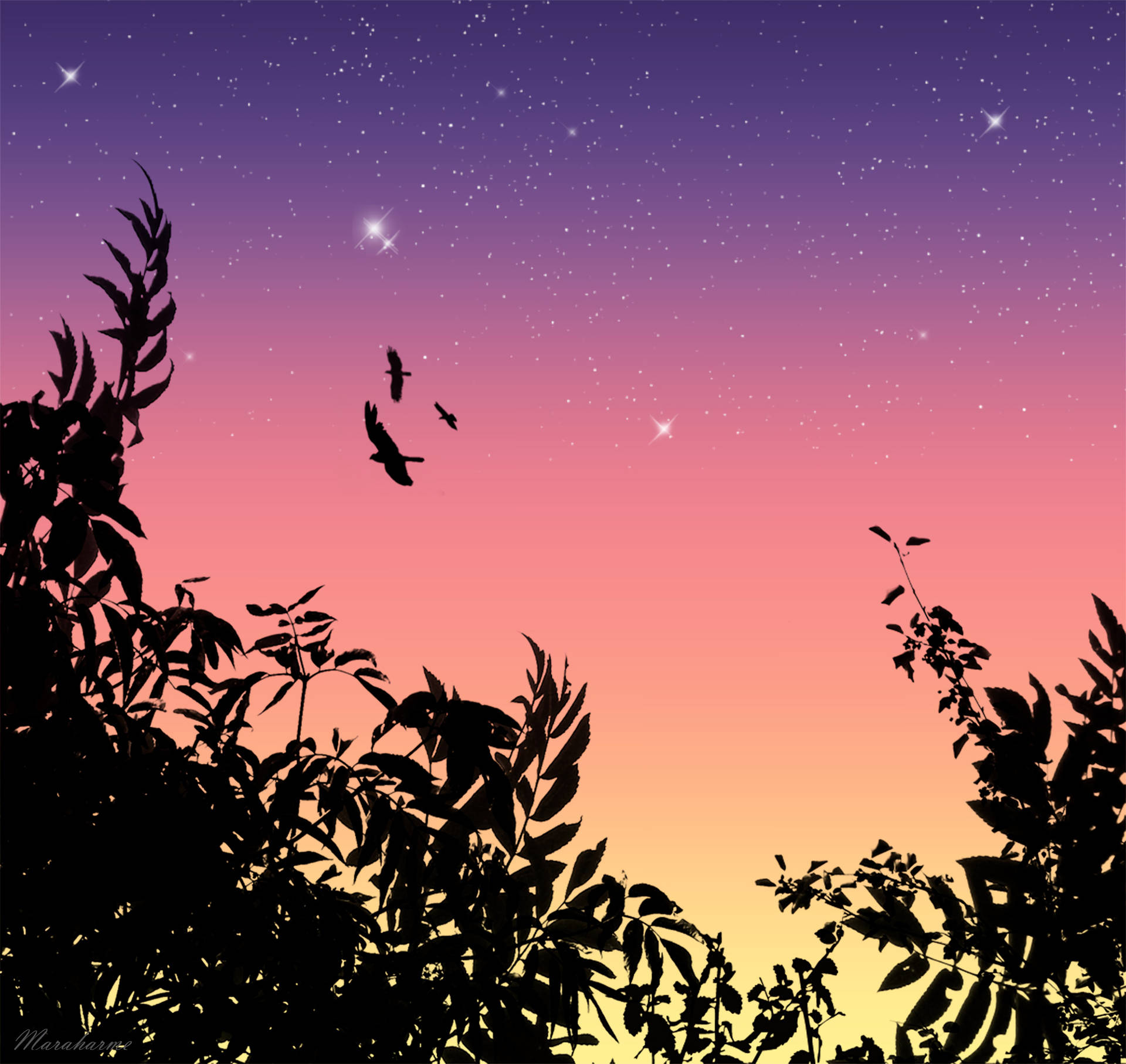 鳥兒飛過繁星點點的暮色天空，以黑暗的樹木剪影為框。