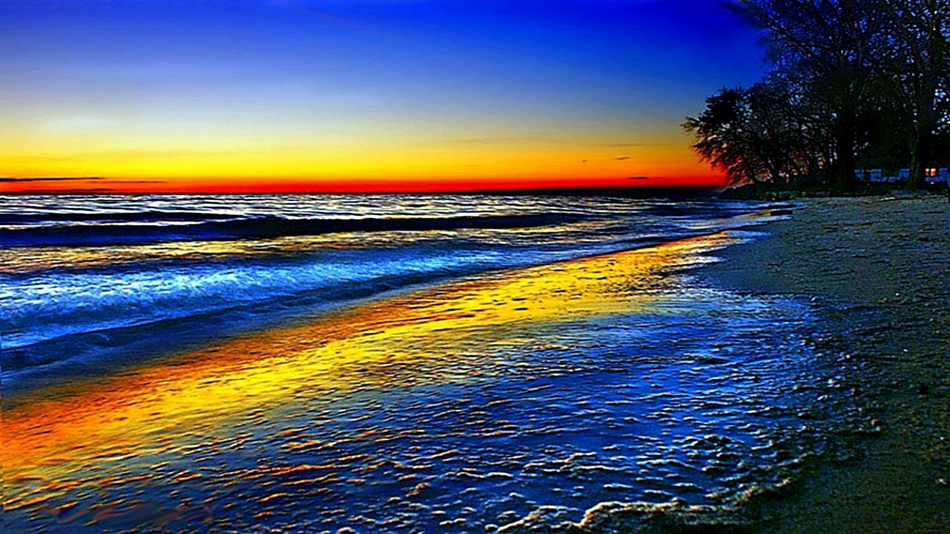 海上日落，海浪沖刷沙灘，地平線上有樹木