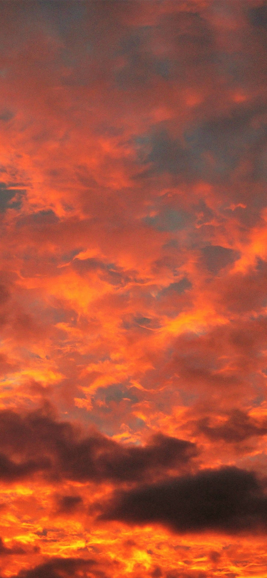 火熱的橙色和紅色雲彩在夕陽或日出時佈滿天空。