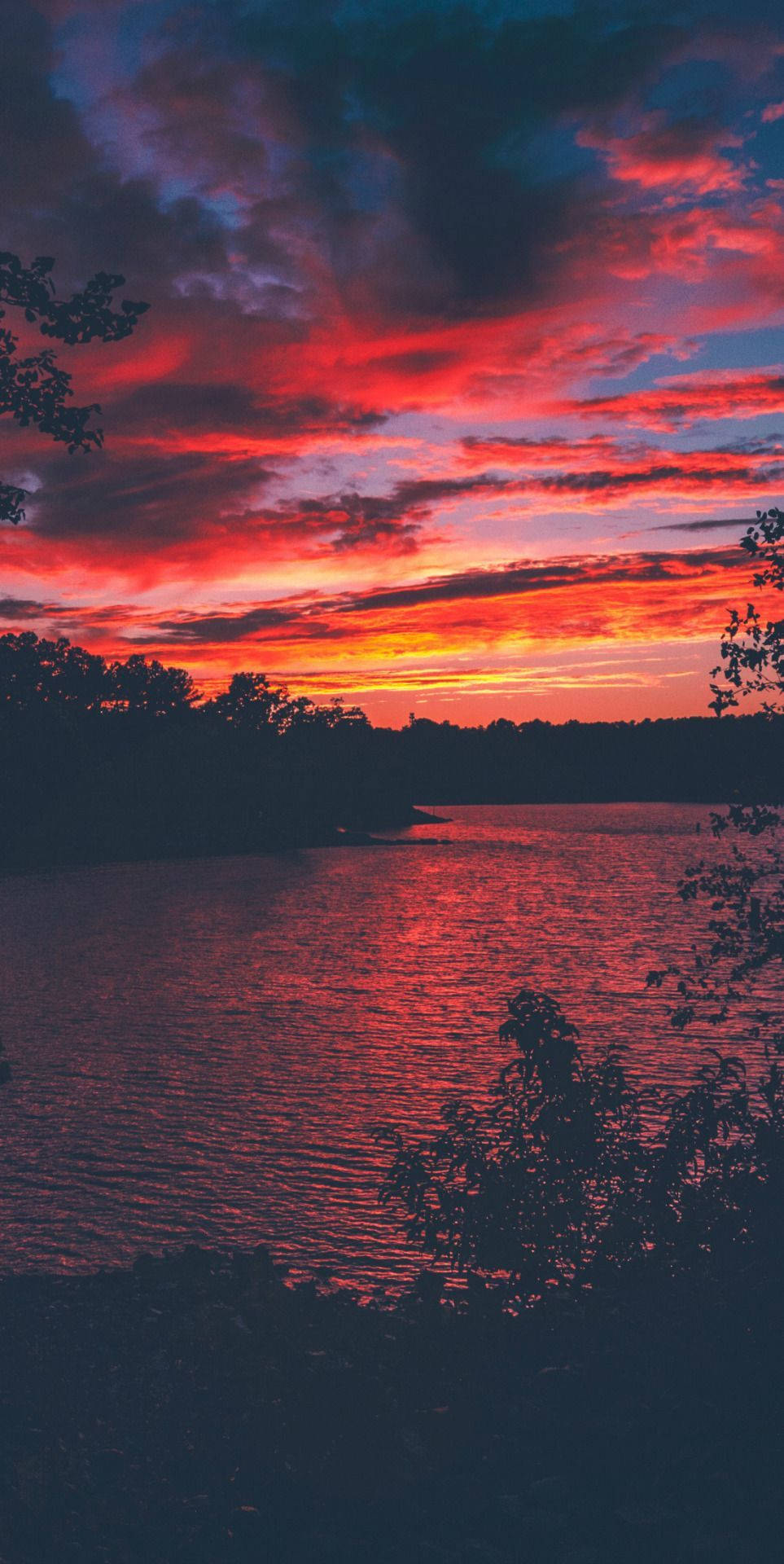 平靜湖面上的鮮豔紅紫色夕陽，帶有樹木剪影
