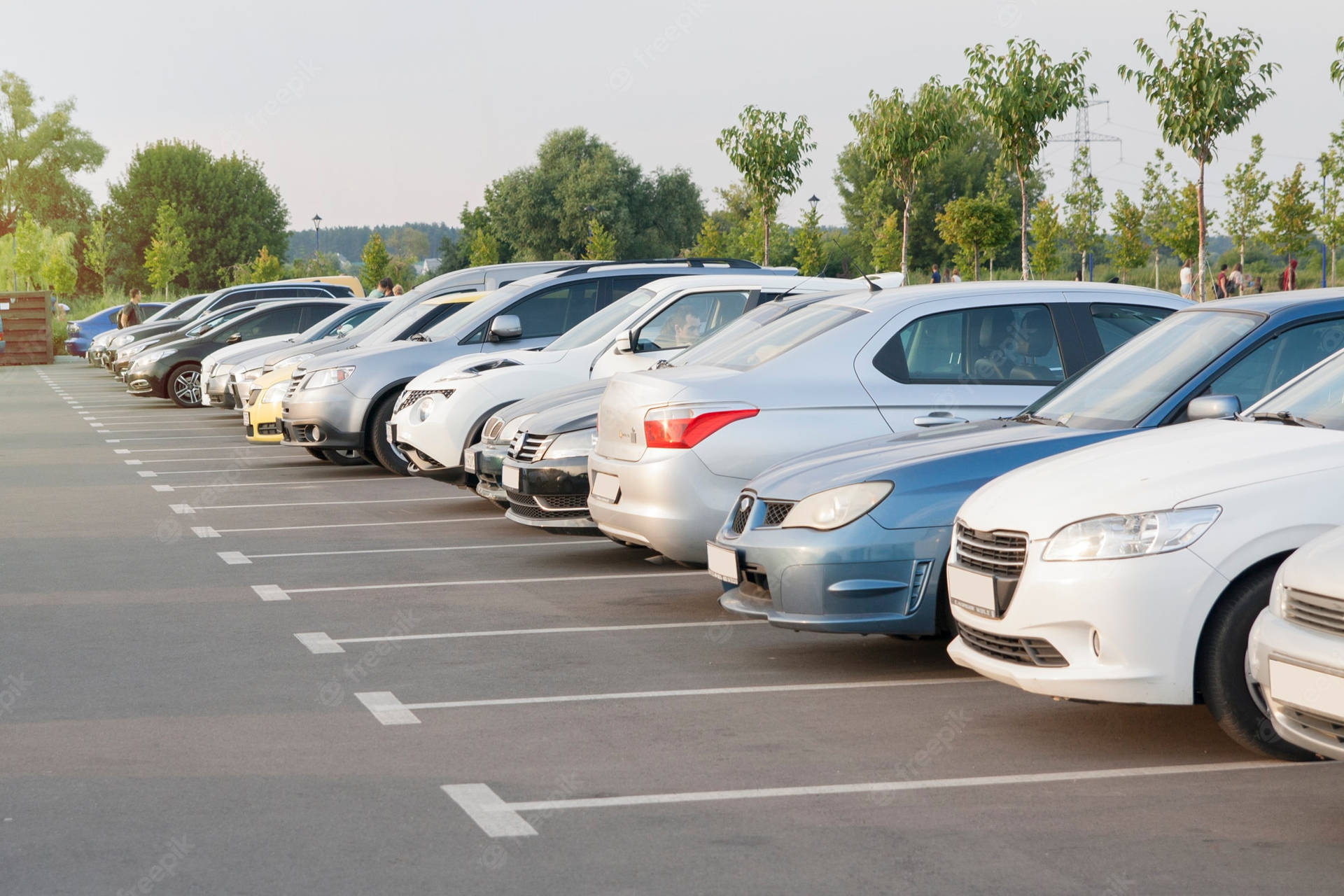 在明亮的日光下，戶外停車場整齊停放著一排現代汽車。