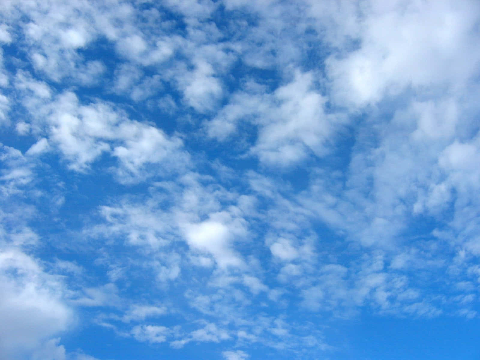 Blue Skies 桌布 壁紙 — 明亮日光下，充滿散落蓬鬆白雲的鮮豔藍天。