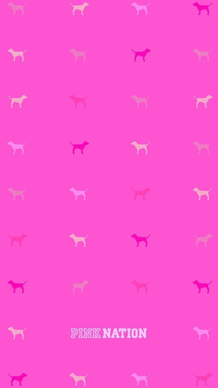 粉紅色背景，帶有狗剪影和文字 pink nation