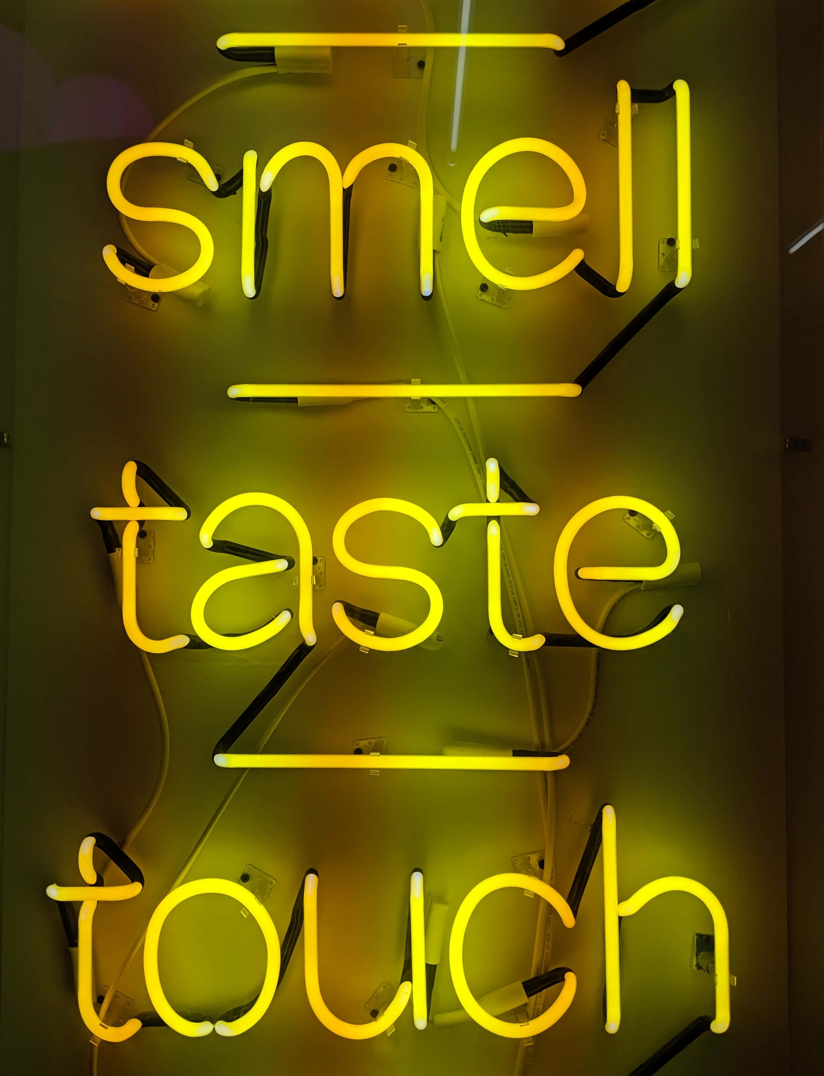 明亮活力的黃色霓虹燈 壁紙 — 鮮豔的黃色霓虹燈牌拼出 smell taste touch，在可見接線的深色牆壁上發光。